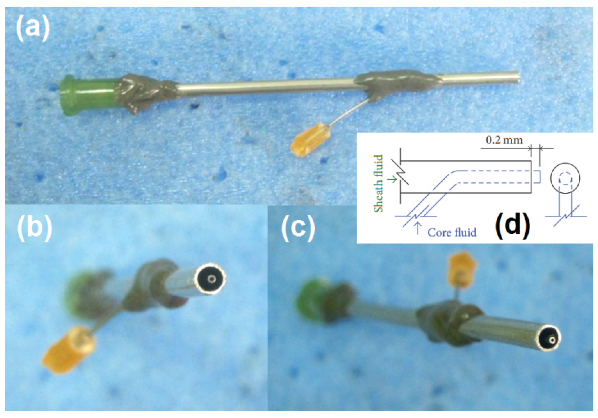 Membranes 11 00802 g003