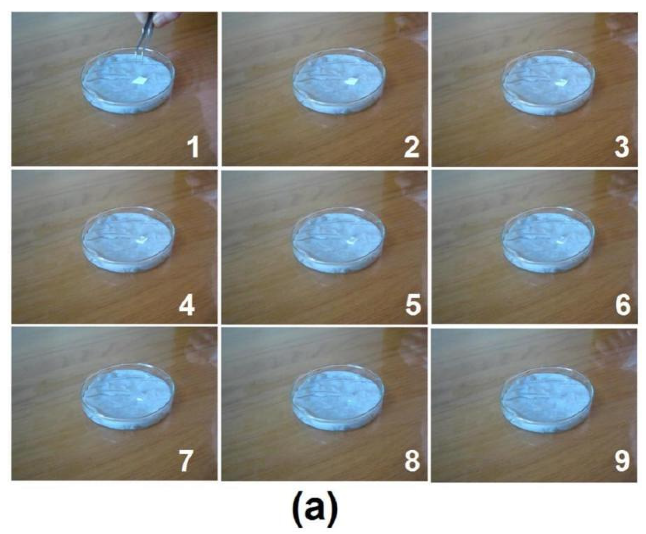 Membranes 11 00802 g008a