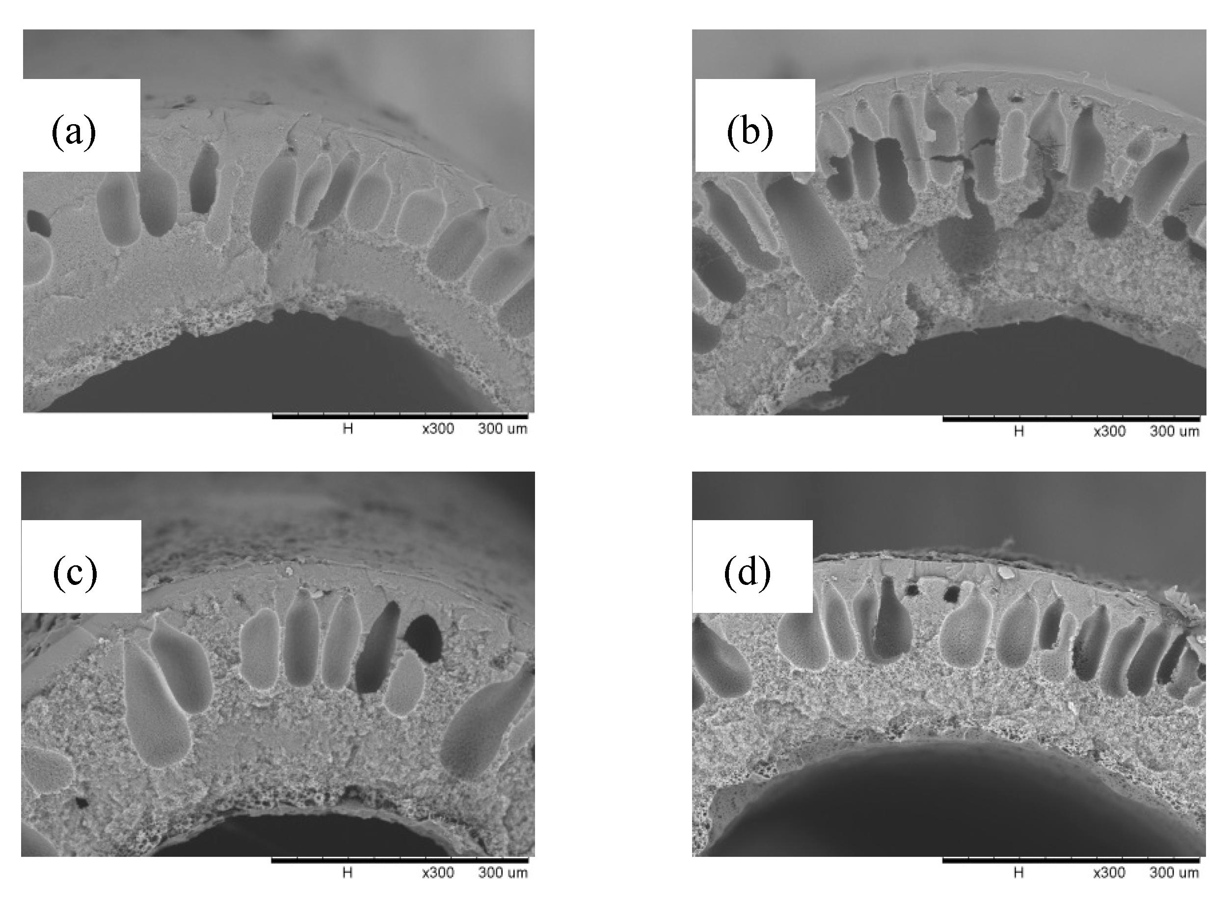Membranes 12 00041 g005