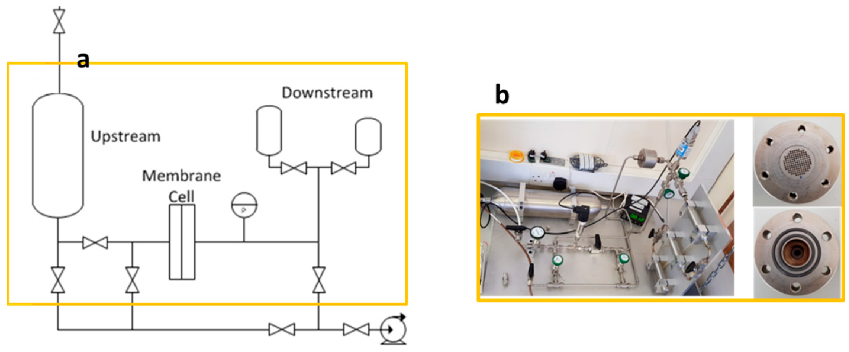 Membranes 12 00584 g003