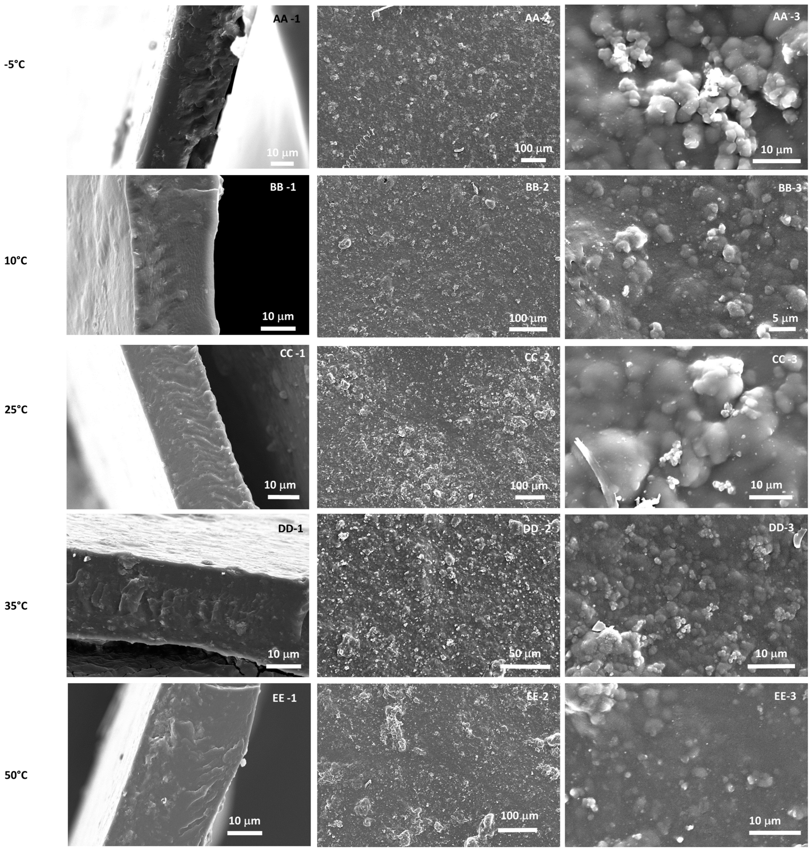 Membranes 12 00584 g006