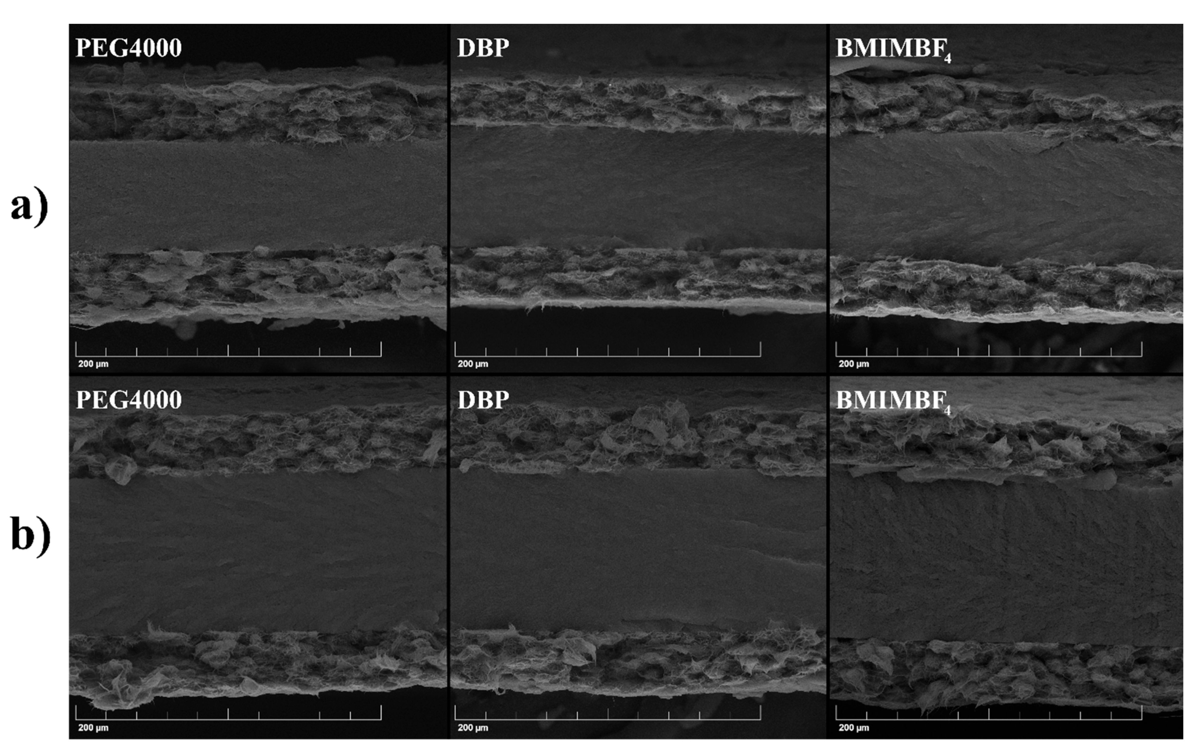Membranes 12 01110 g005