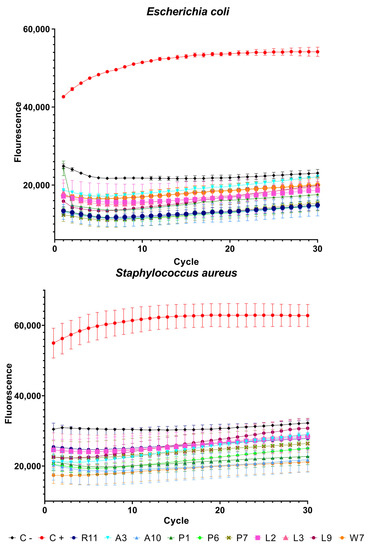 Membranes Free Full Text Arginine Homopeptide Of 11 Residues As A