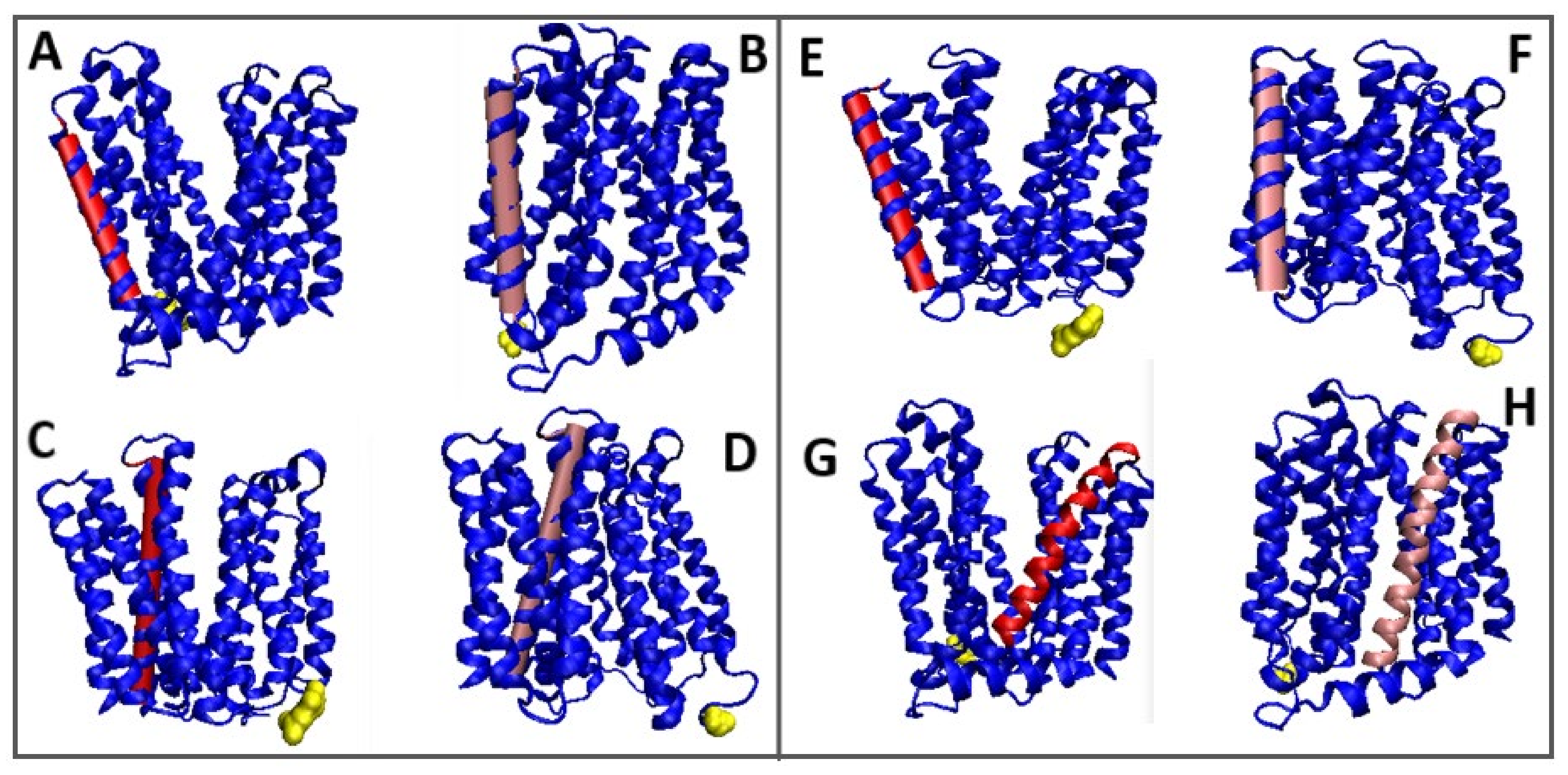 Membranes 12 01212 g009
