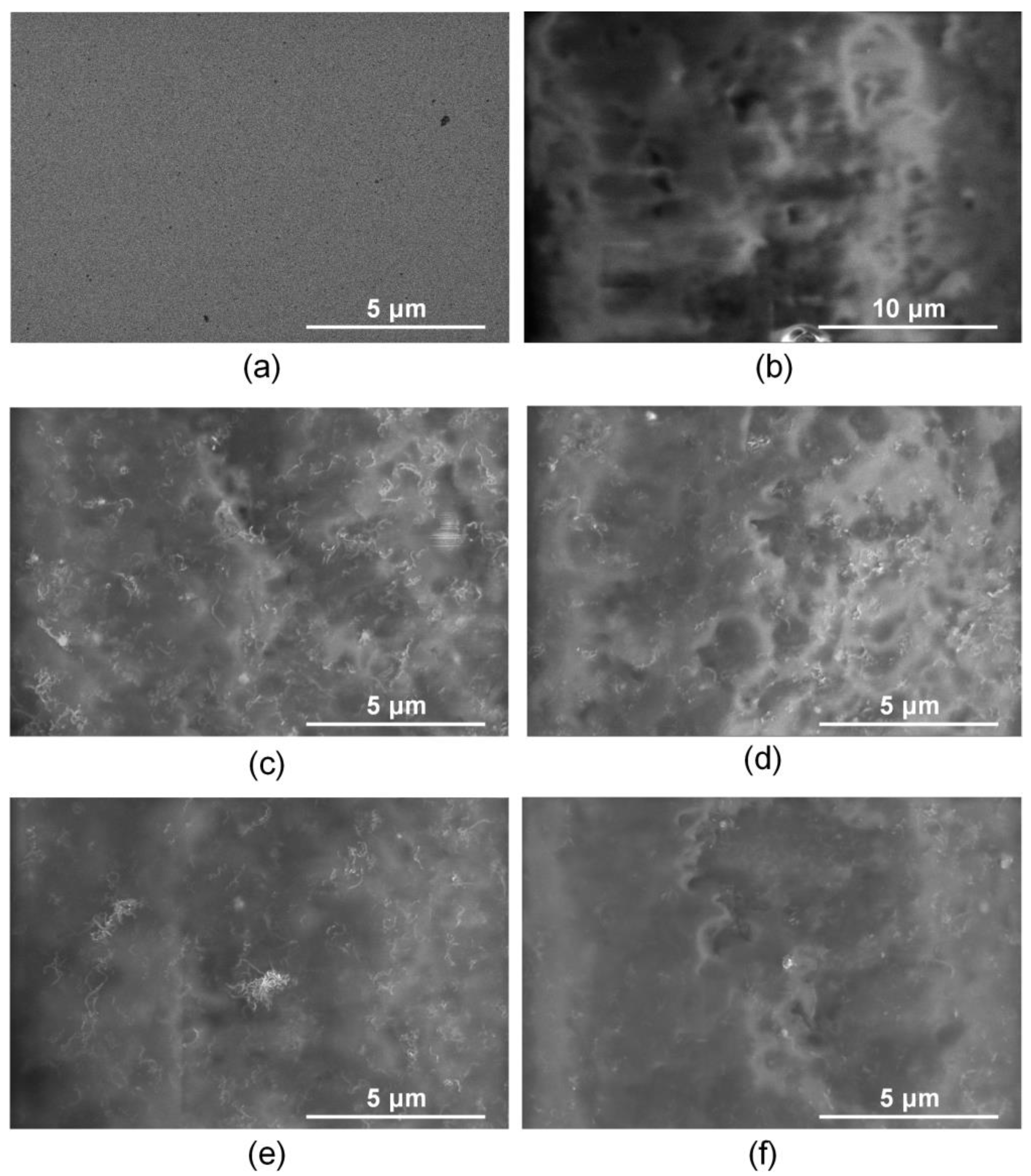 Membranes 13 00403 g006