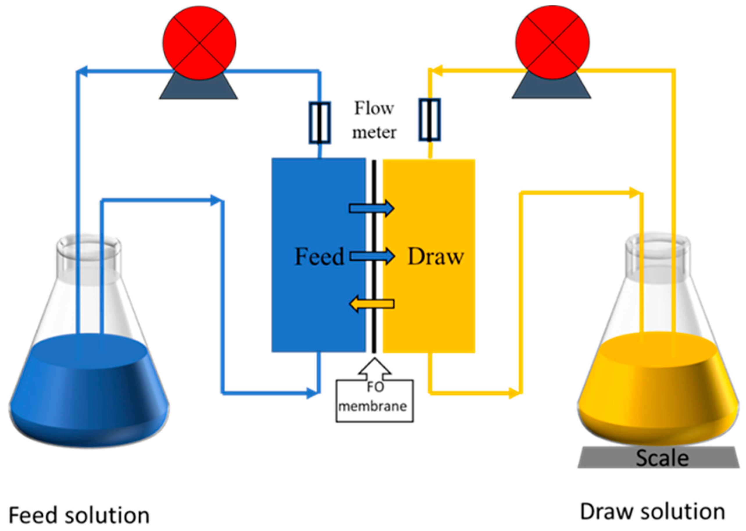 Membranes 13 00404 g001
