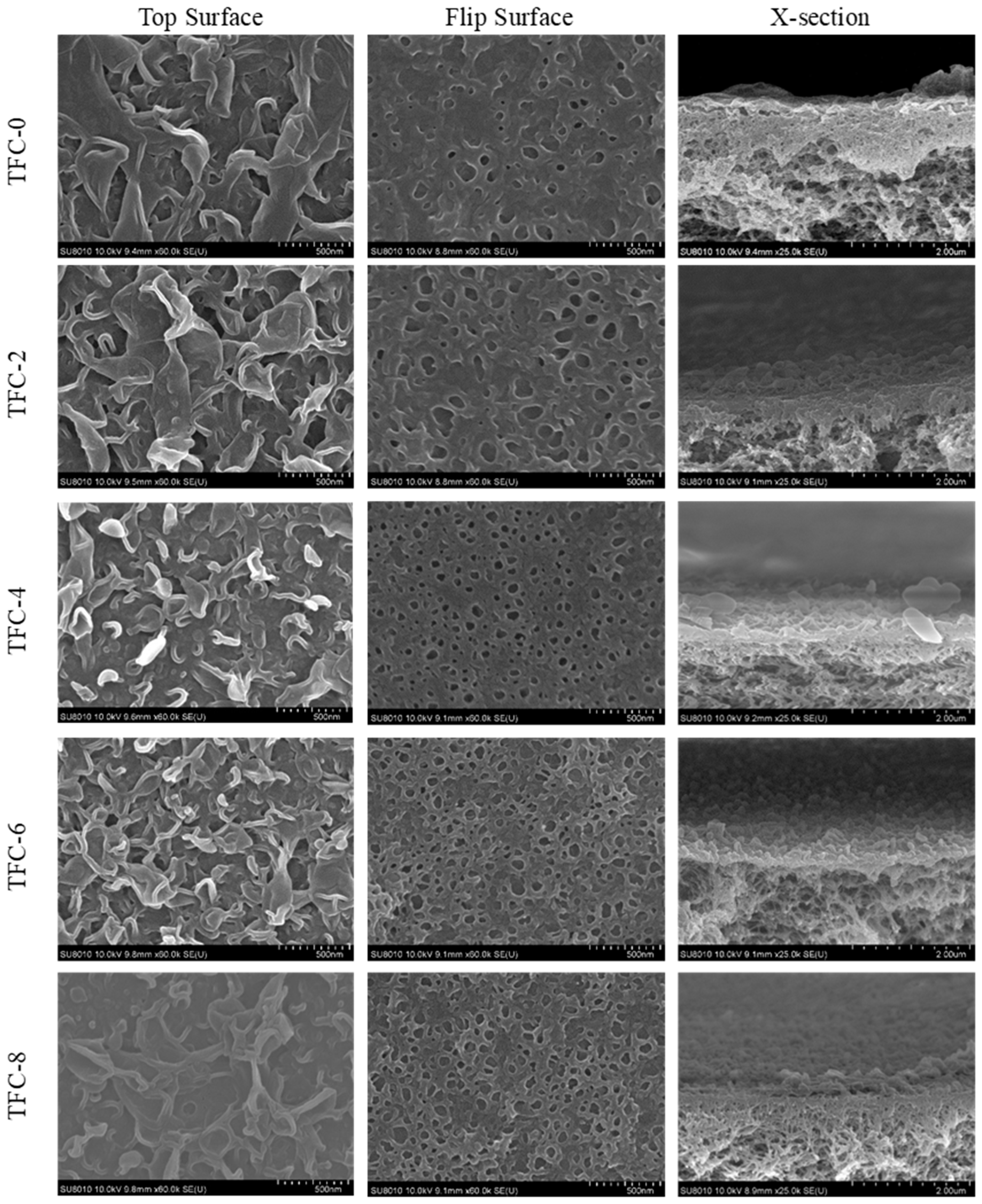 Membranes 13 00404 g002