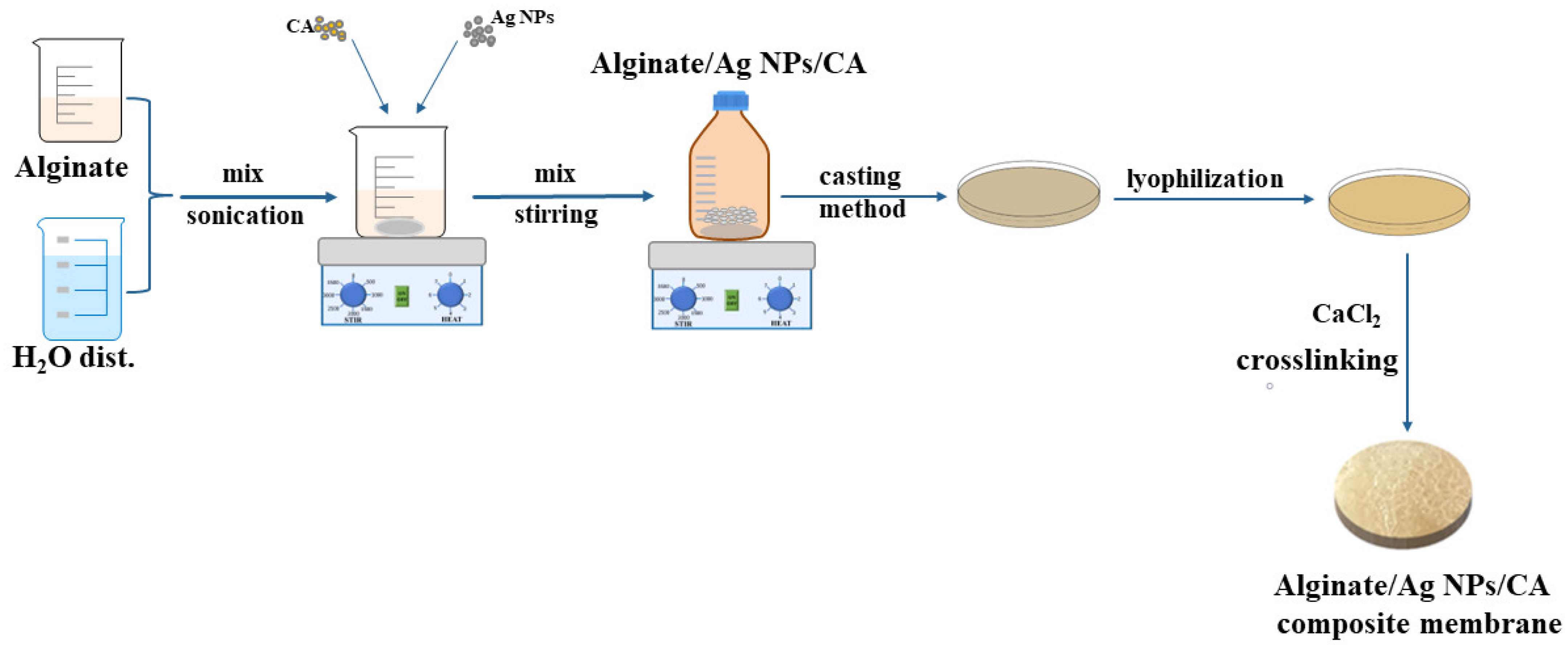 Membranes 13 00591 g001