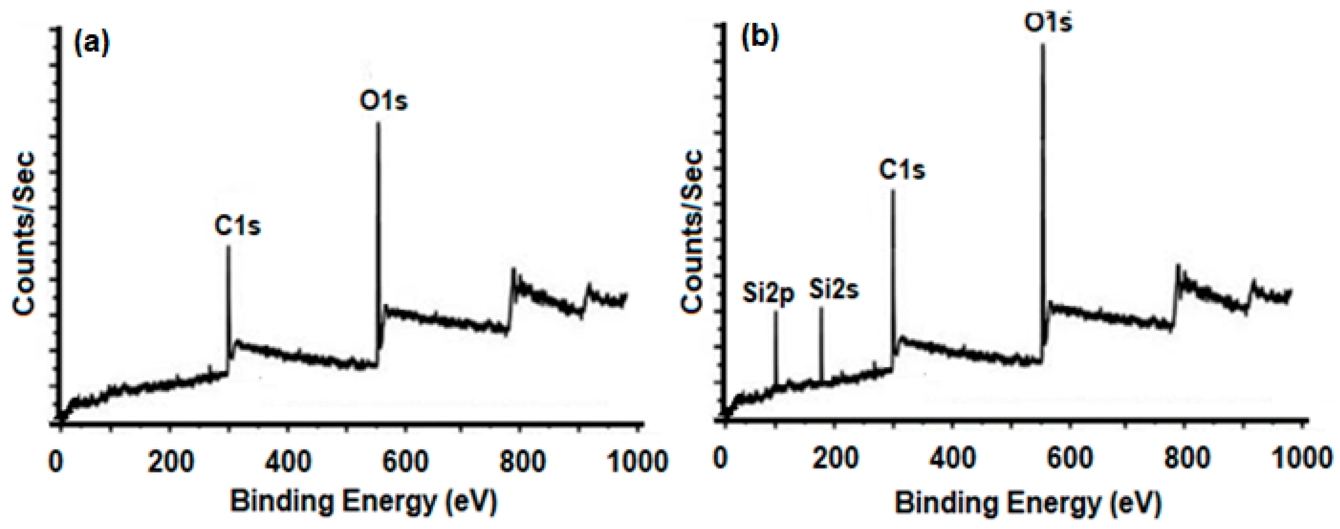 Membranes 13 00609 g001
