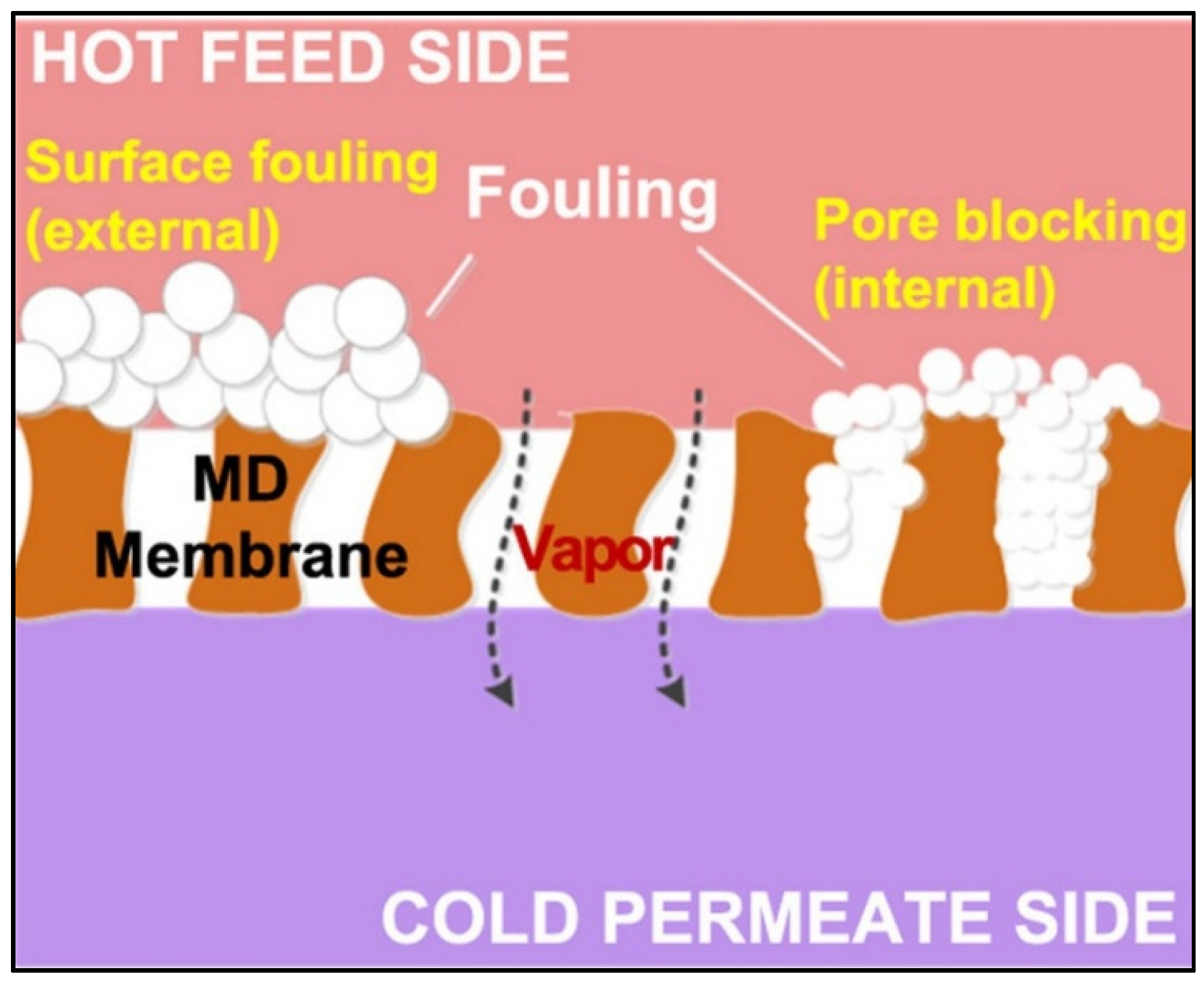 Membranes 13 00727 g001