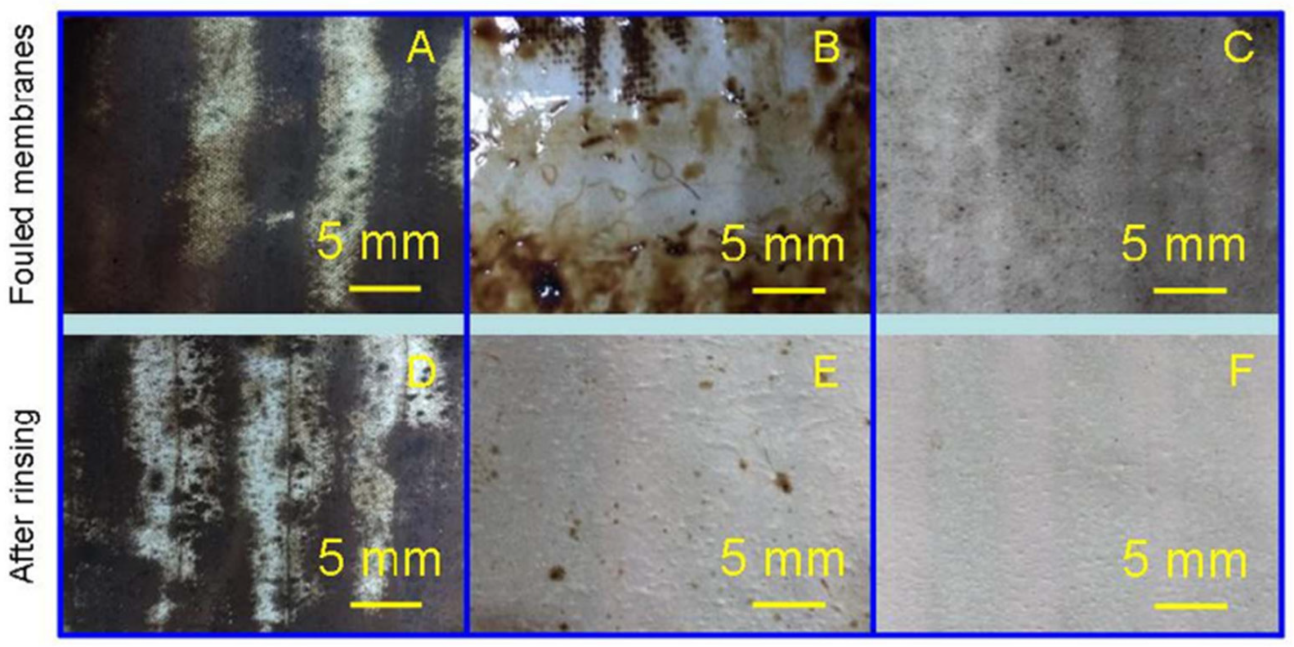 Membranes 13 00727 g003