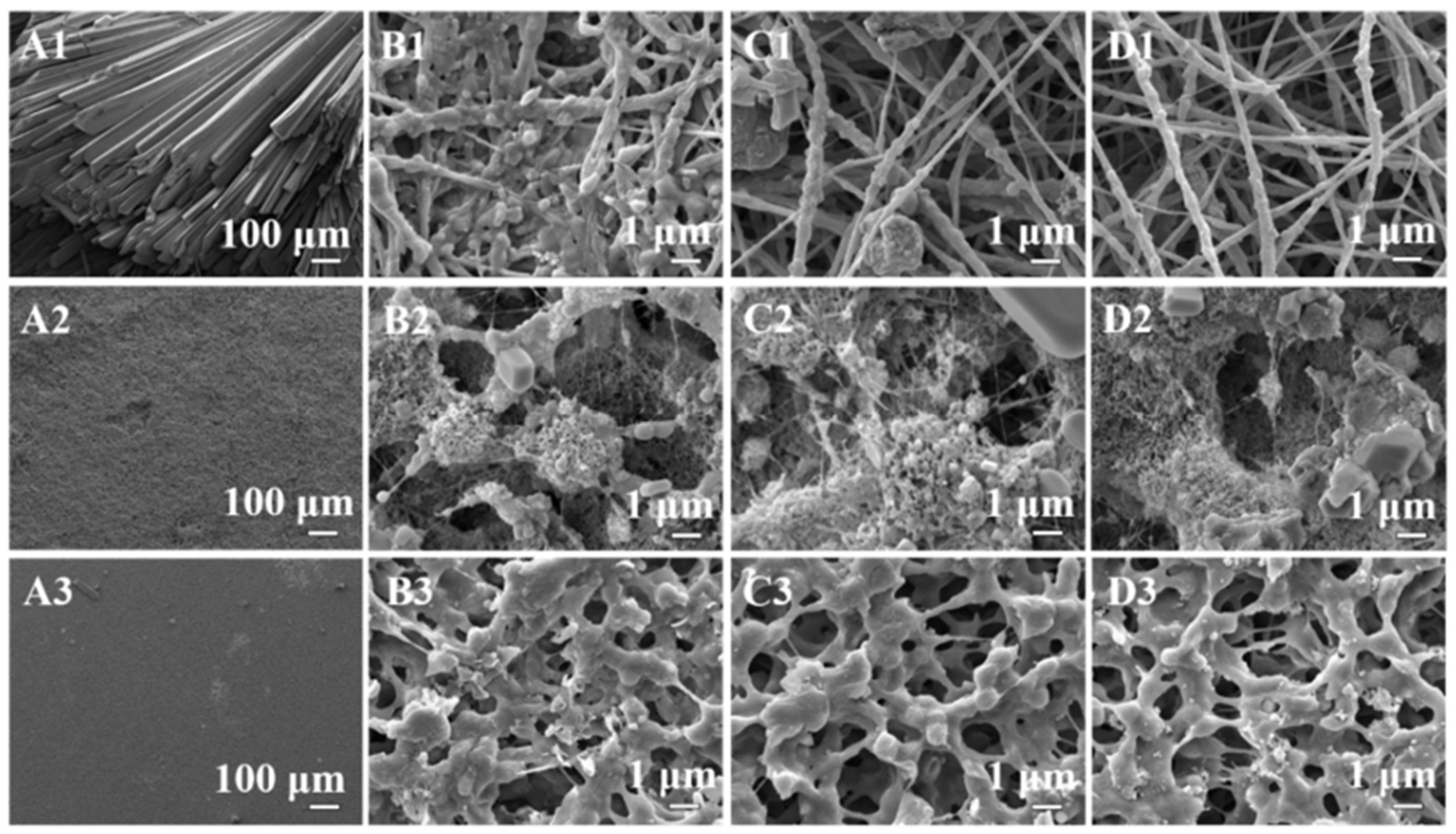 Membranes 13 00727 g004