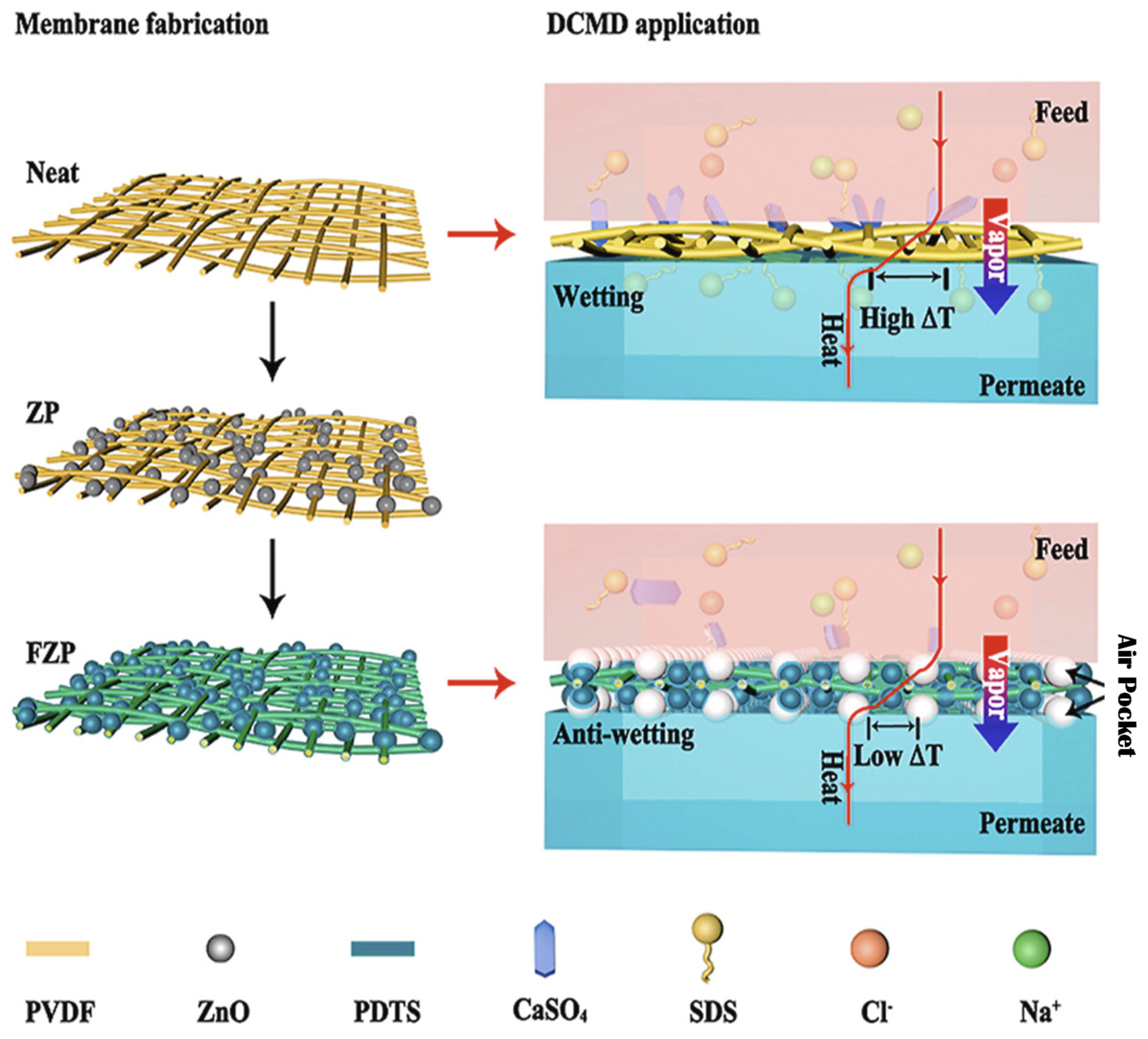 Membranes 13 00727 g006