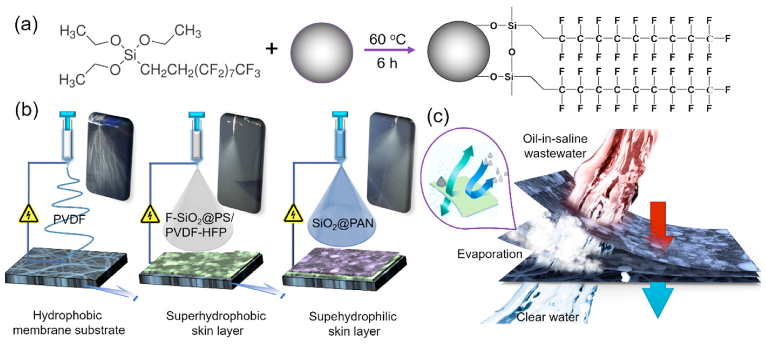Membranes 13 00727 g008