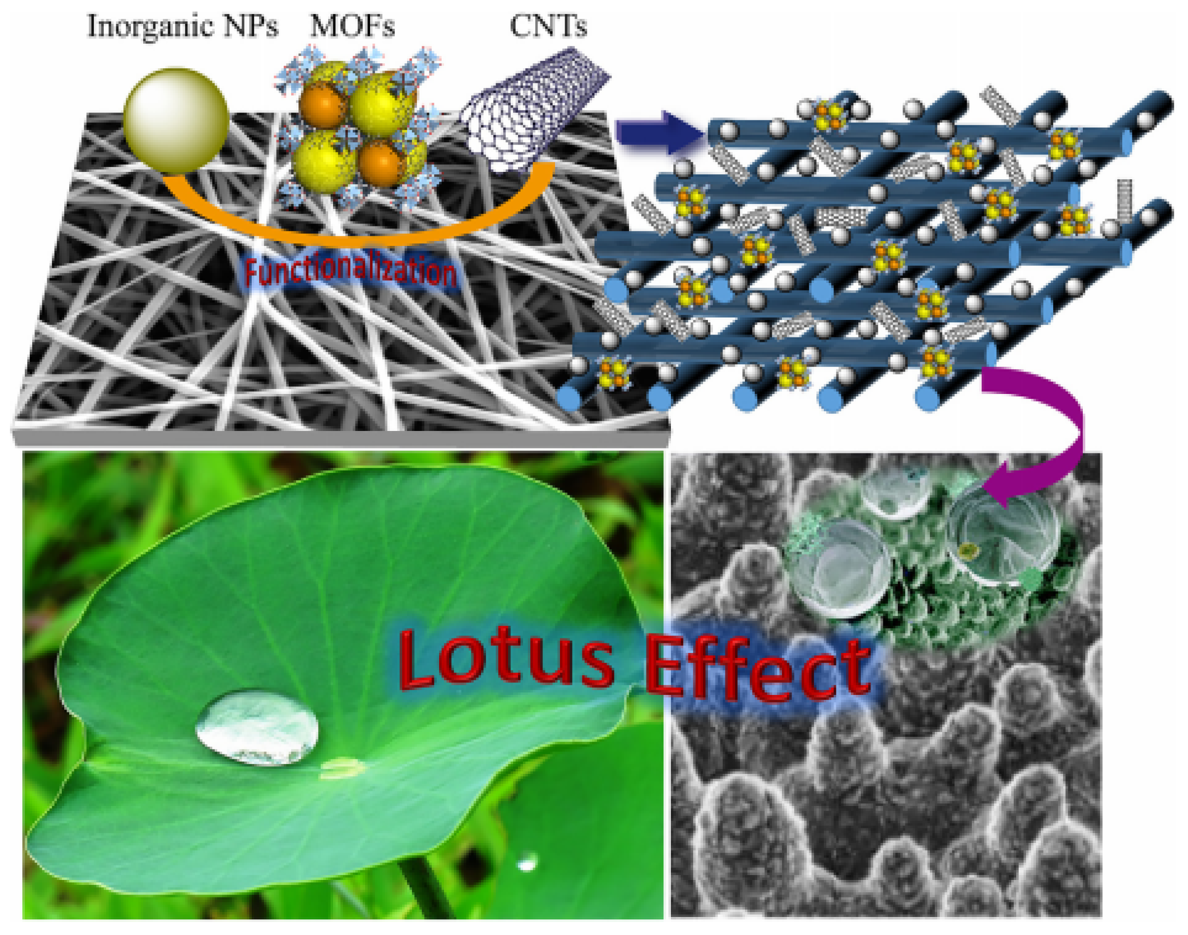 Membranes 13 00727 g010