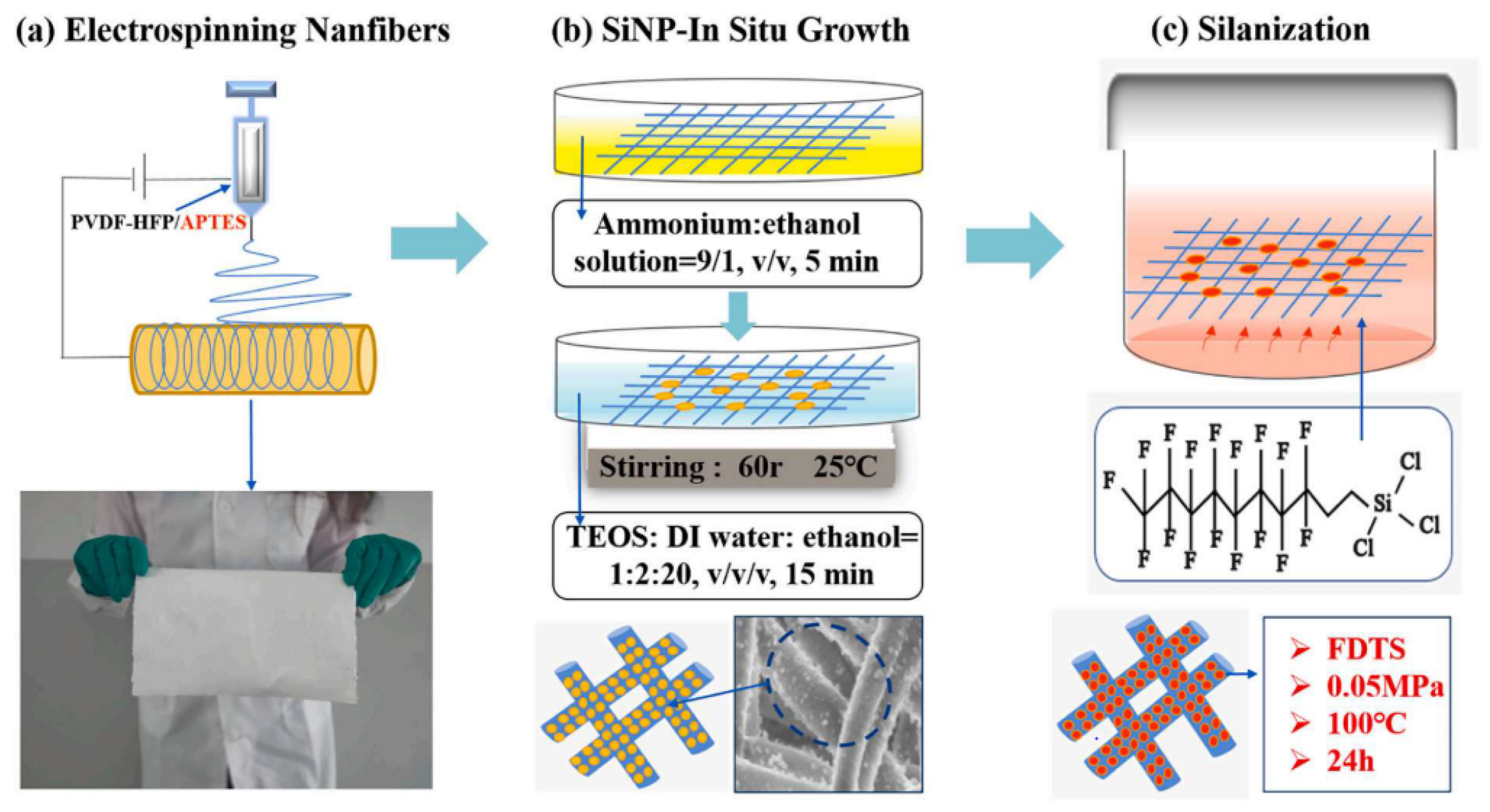 Membranes 13 00727 g015