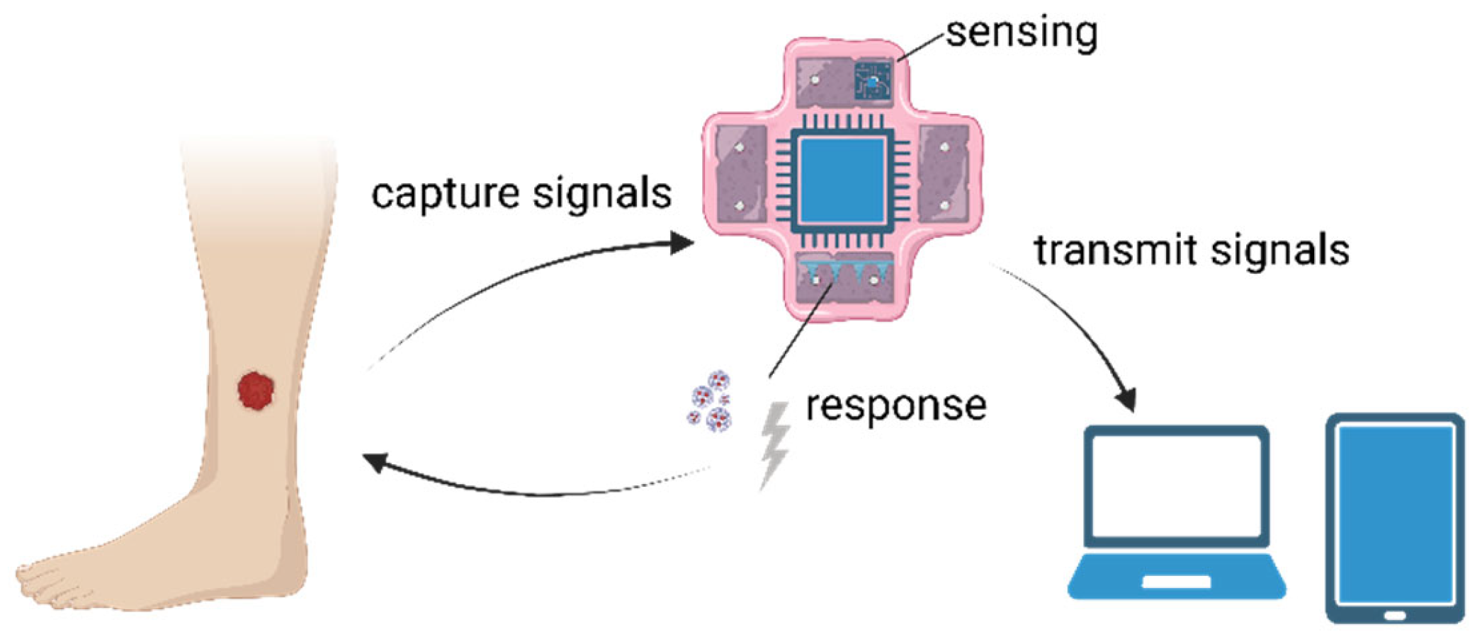 Membranes 13 00802 g003