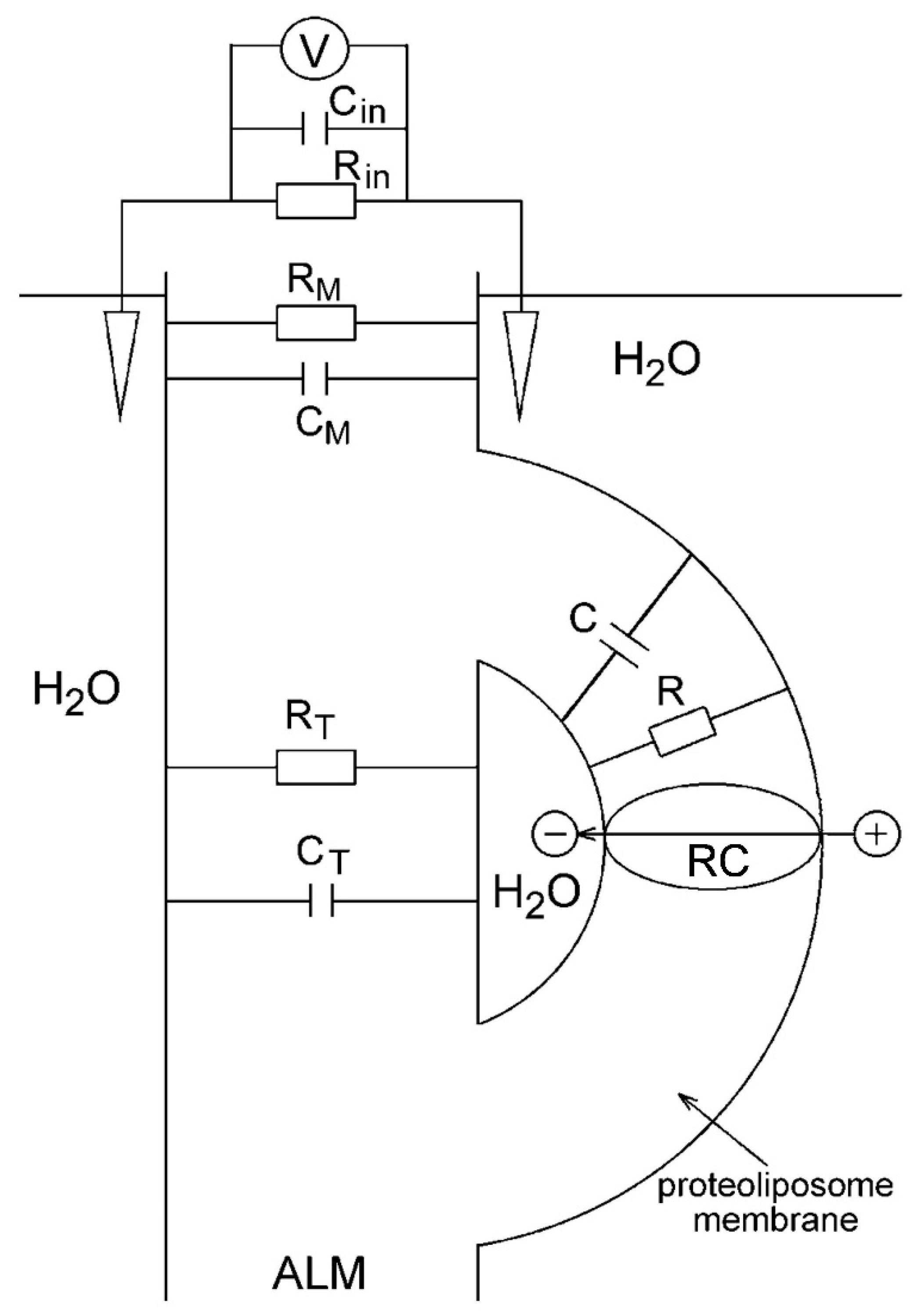 Membranes 13 00866 g002