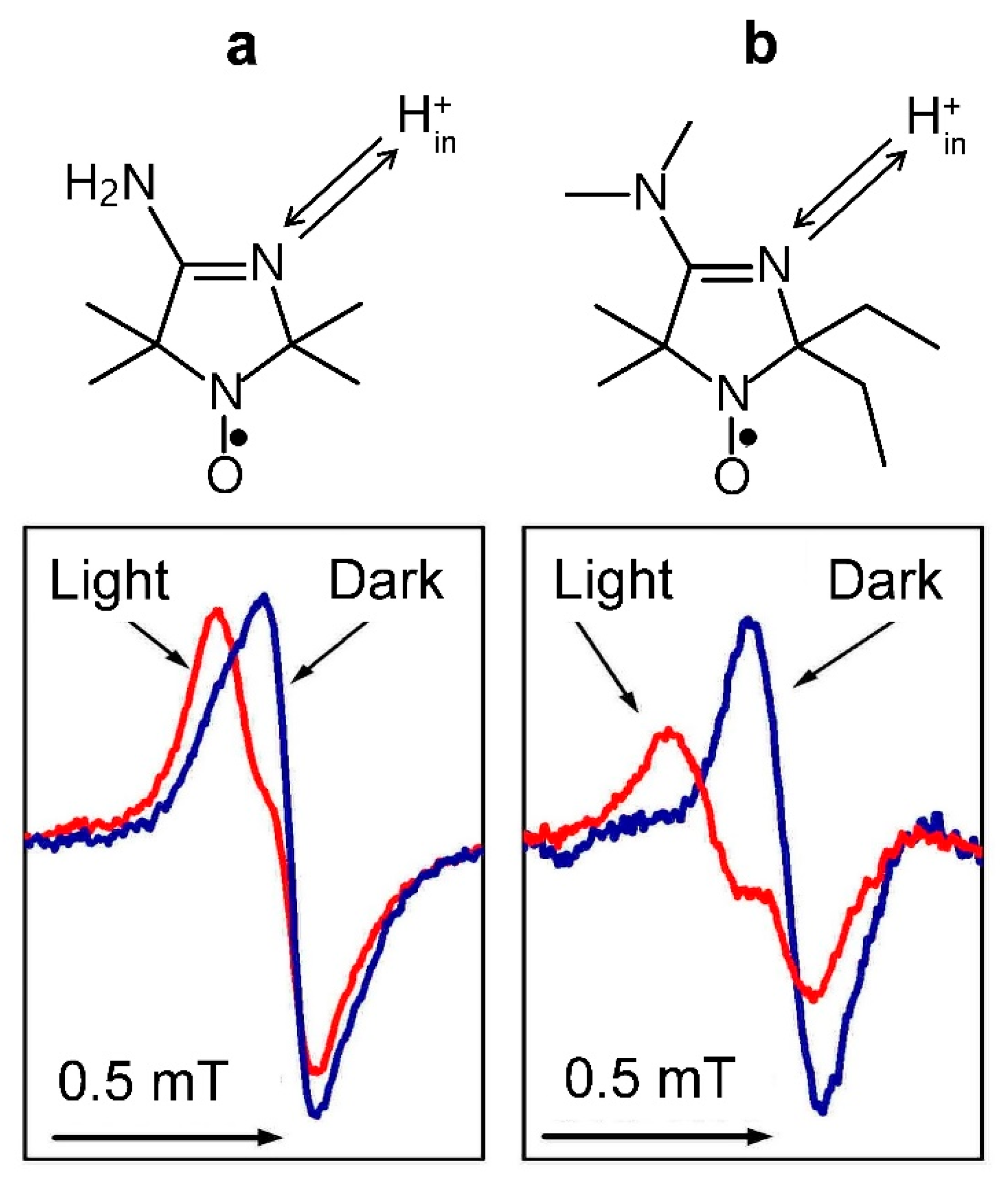 Membranes 13 00866 g004