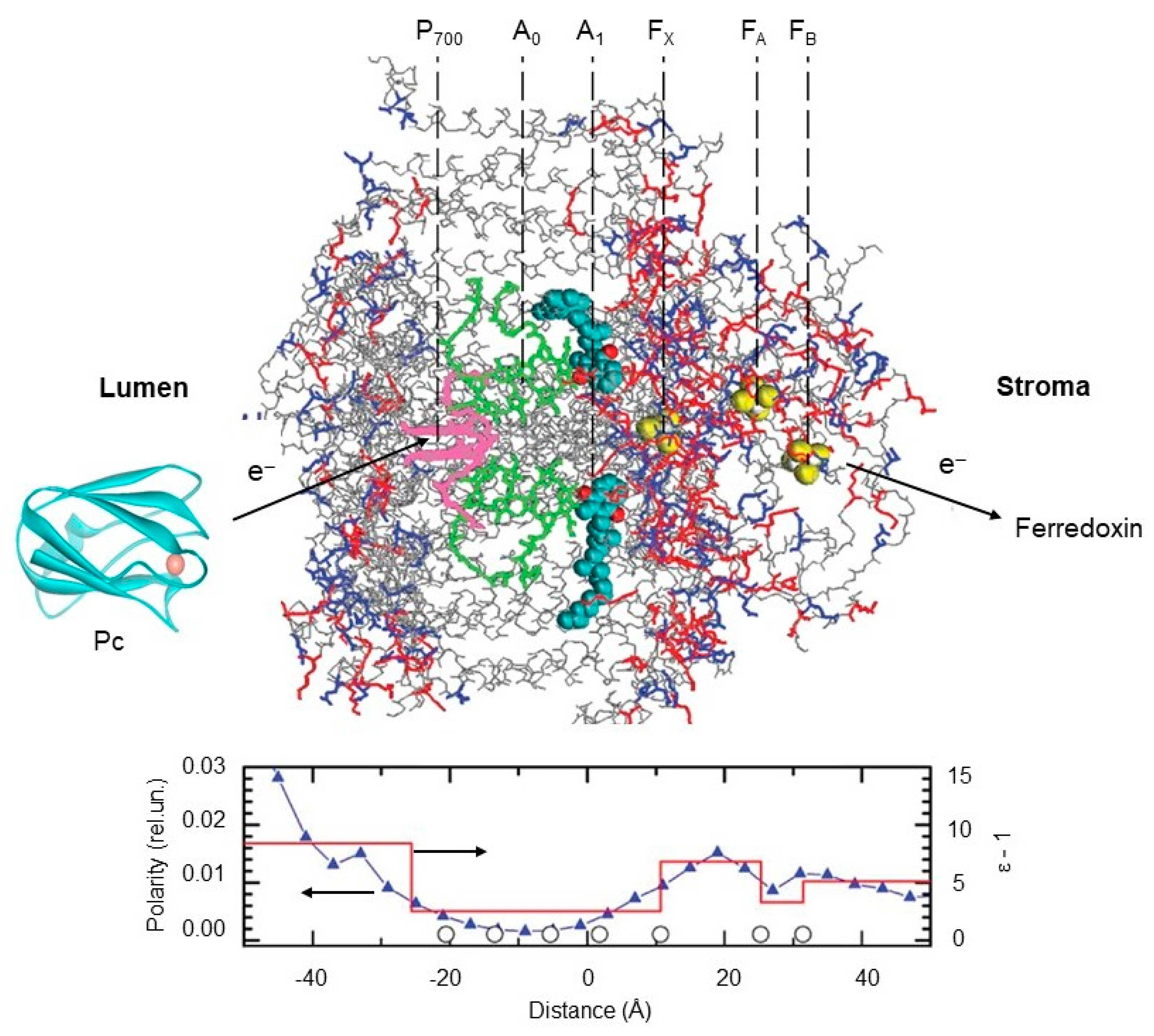 Membranes 13 00866 g006