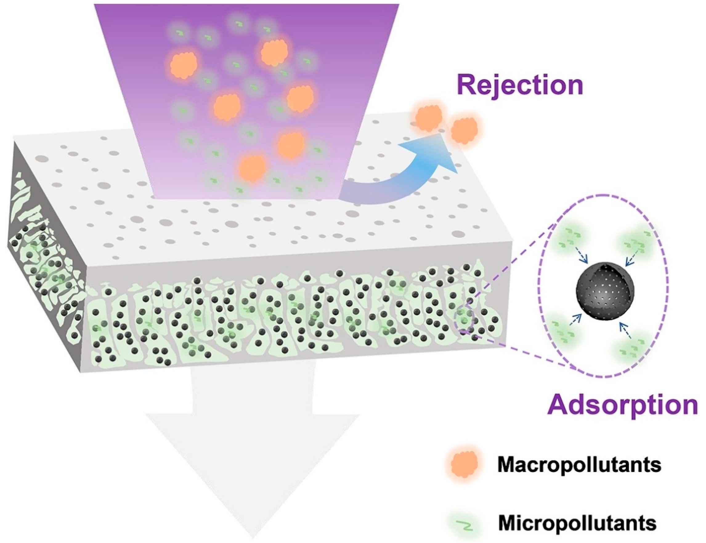 Membranes 13 00874 g004