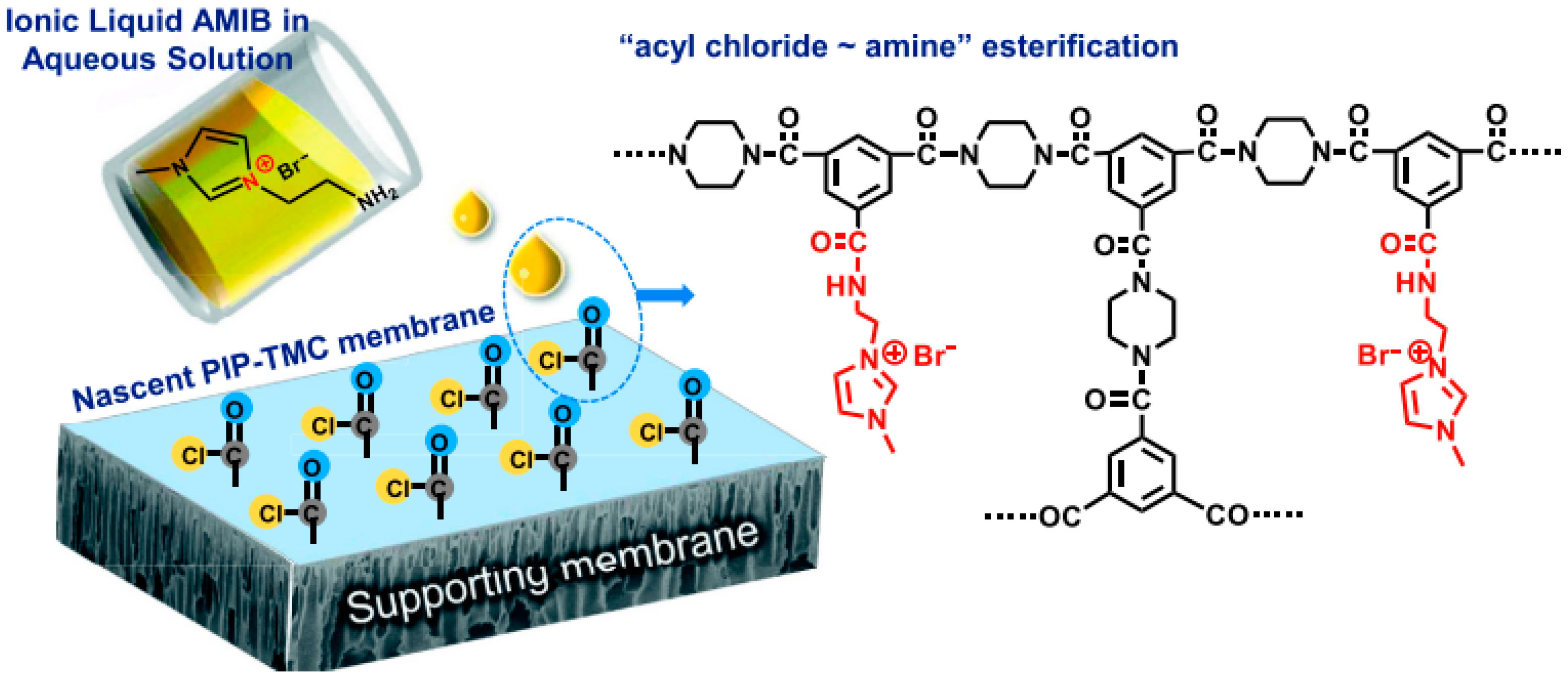 Membranes 13 00874 g006