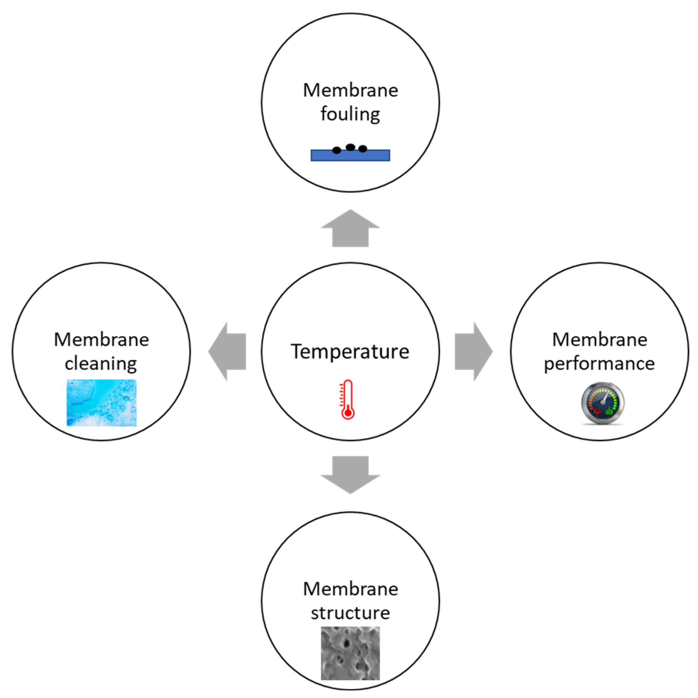 Membranes 14 00005 g001