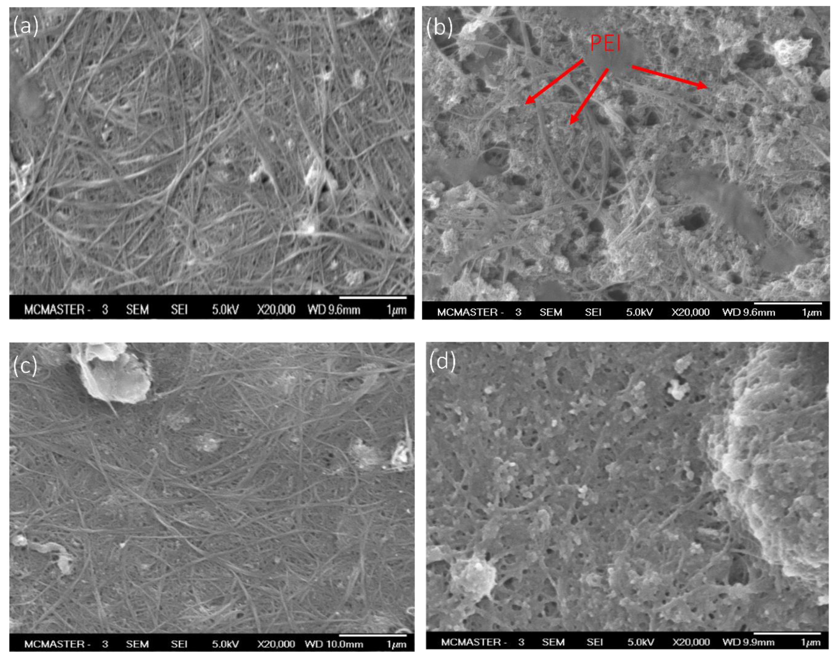 Membranes 14 00094 g002