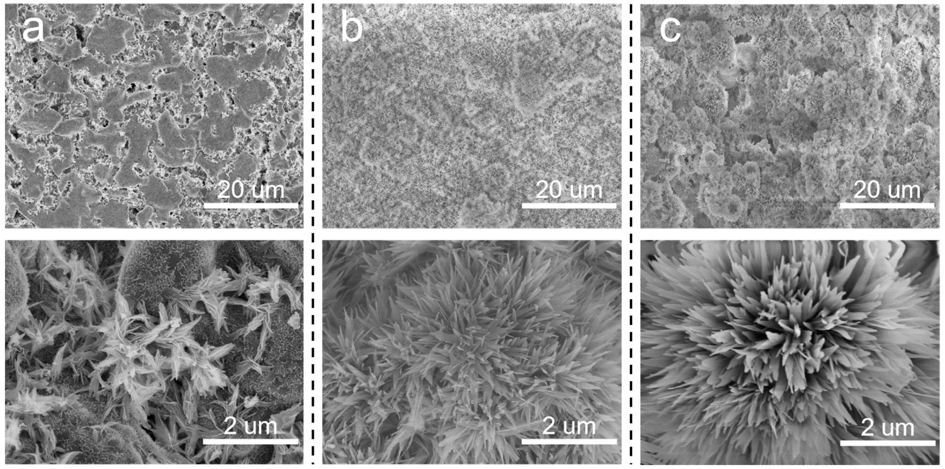 Membranes 14 00117 g004