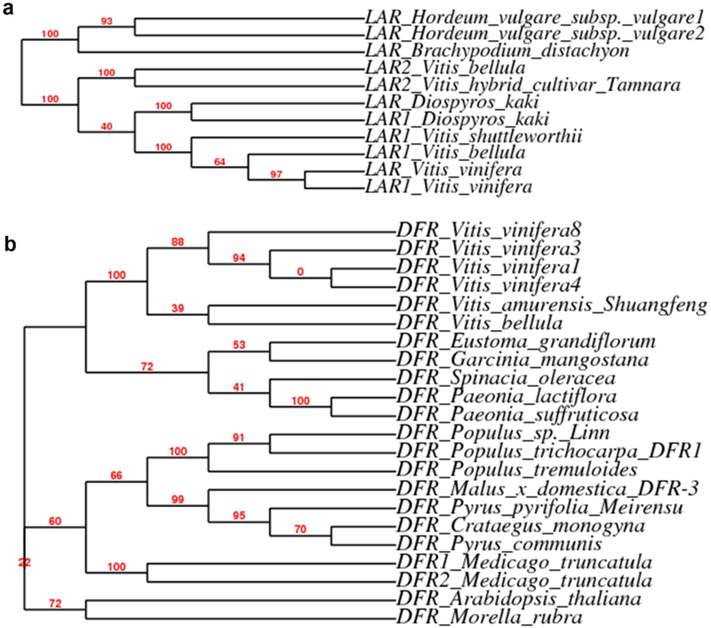 Metabolites 03 00185 g005 1024