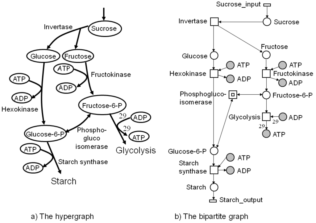 Metabolites 03 00673 g001 1024