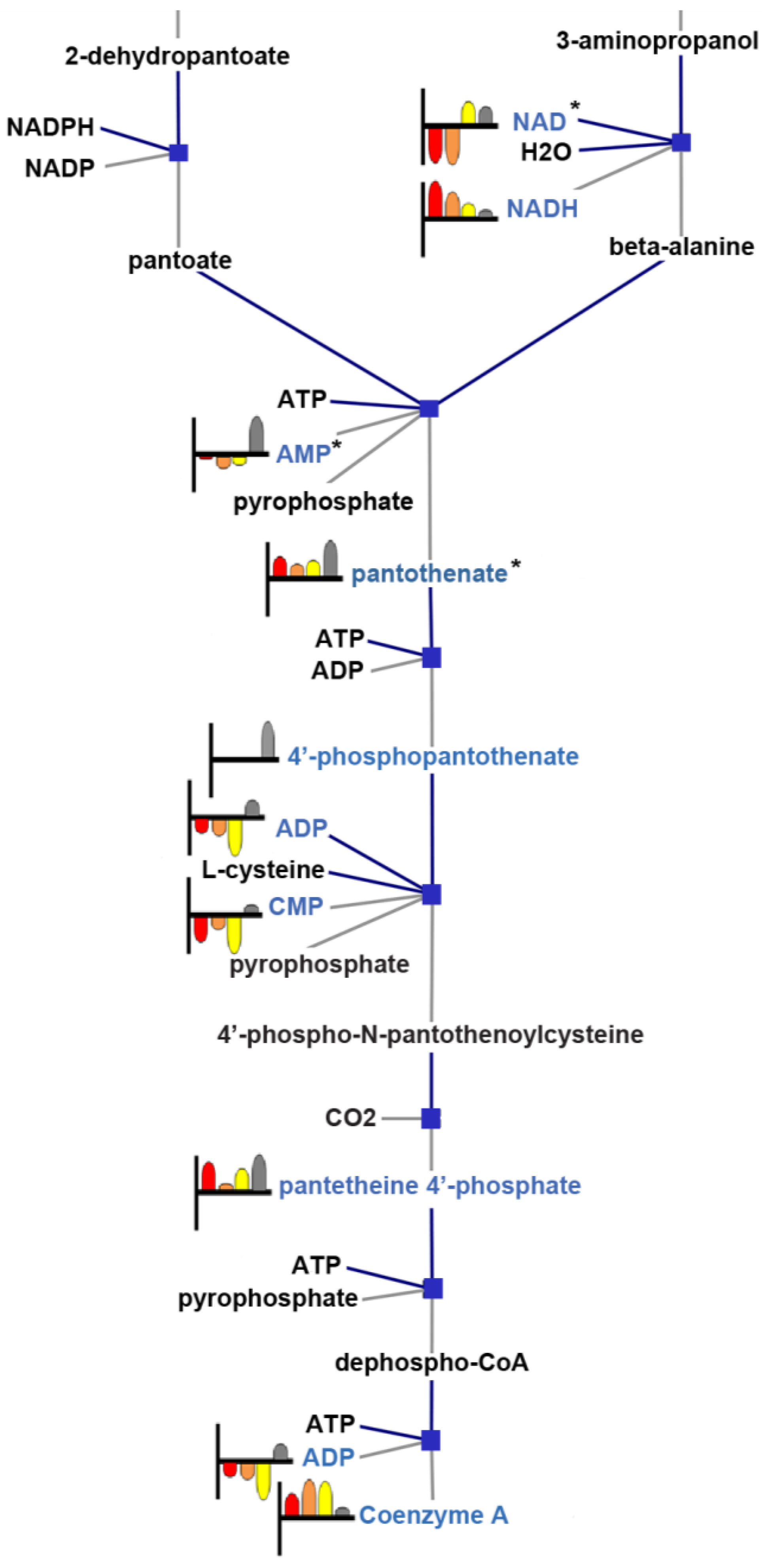 Metabolites 03 01102 g005