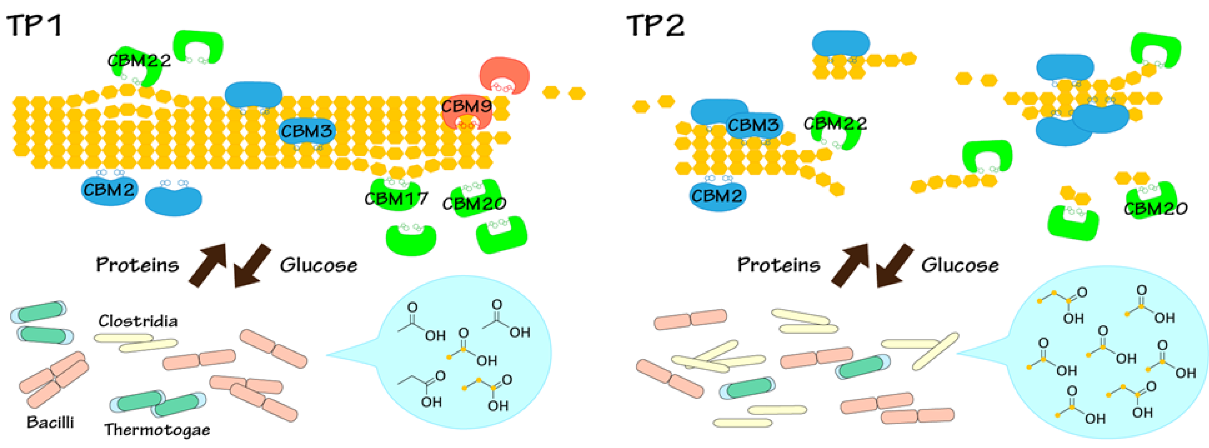 Metabolites 04 00036 g006