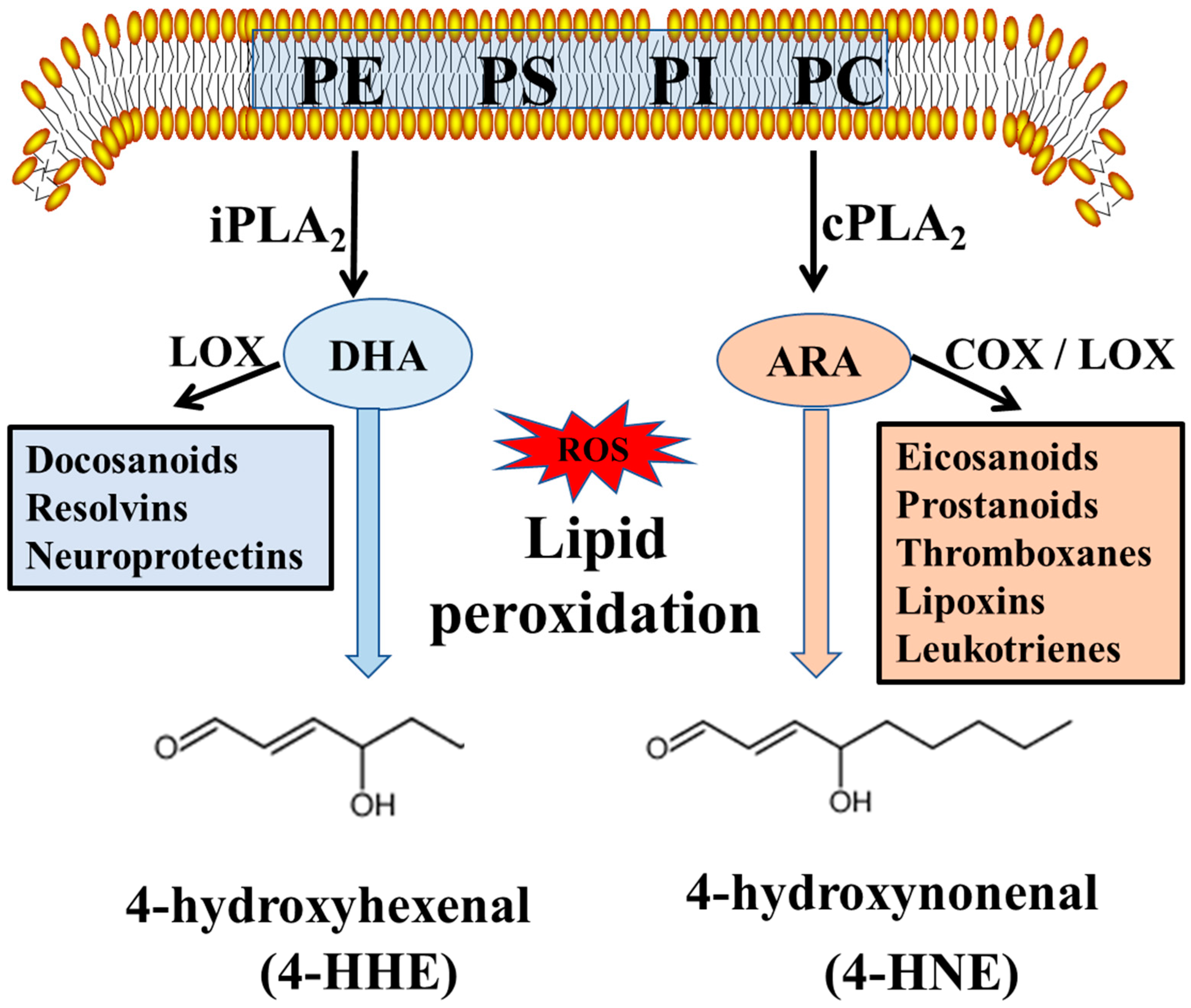 Metabolites 09 00040 g006