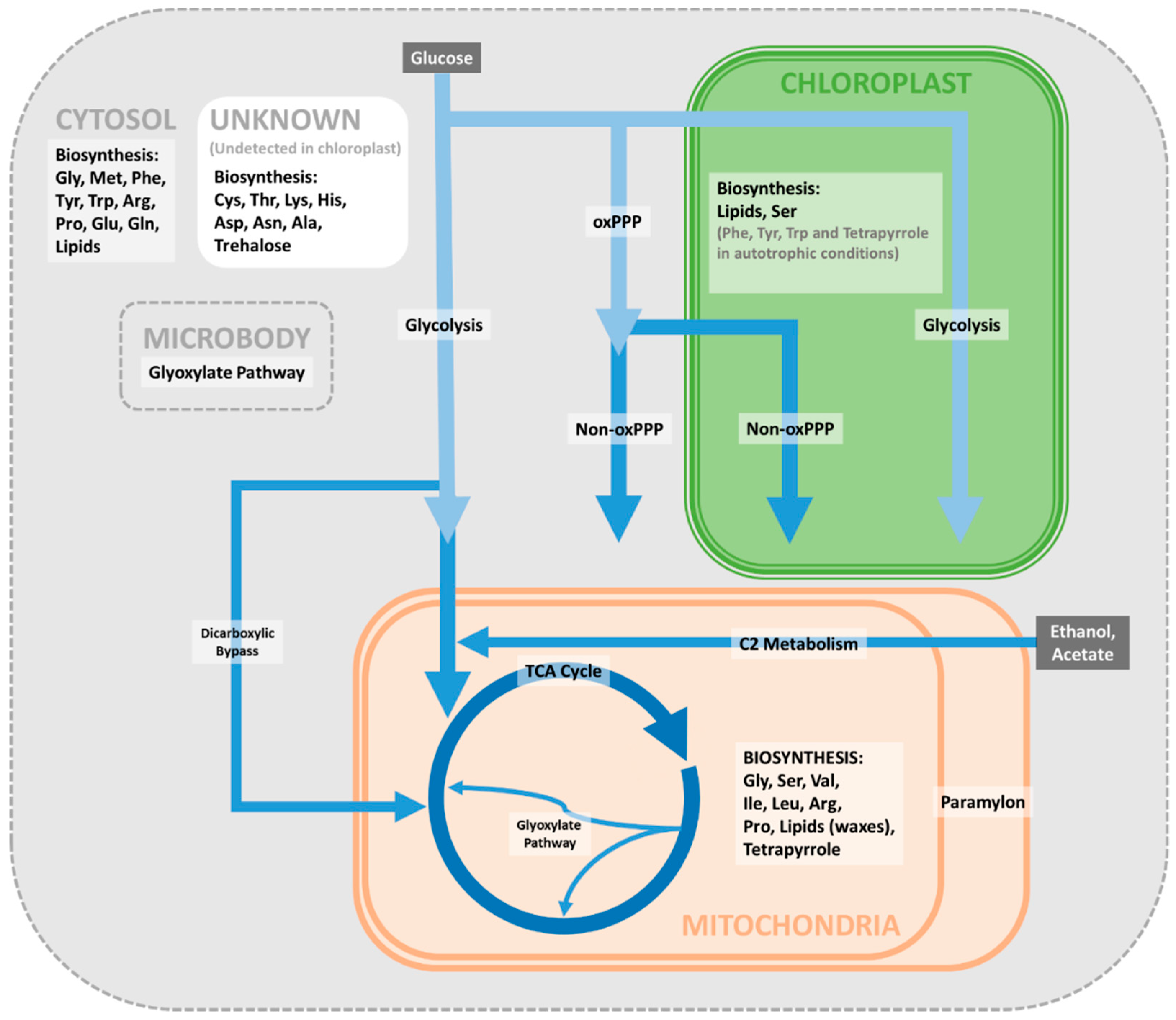 Metabolites 09 00115 g002 Metabolites 09 00115 g002