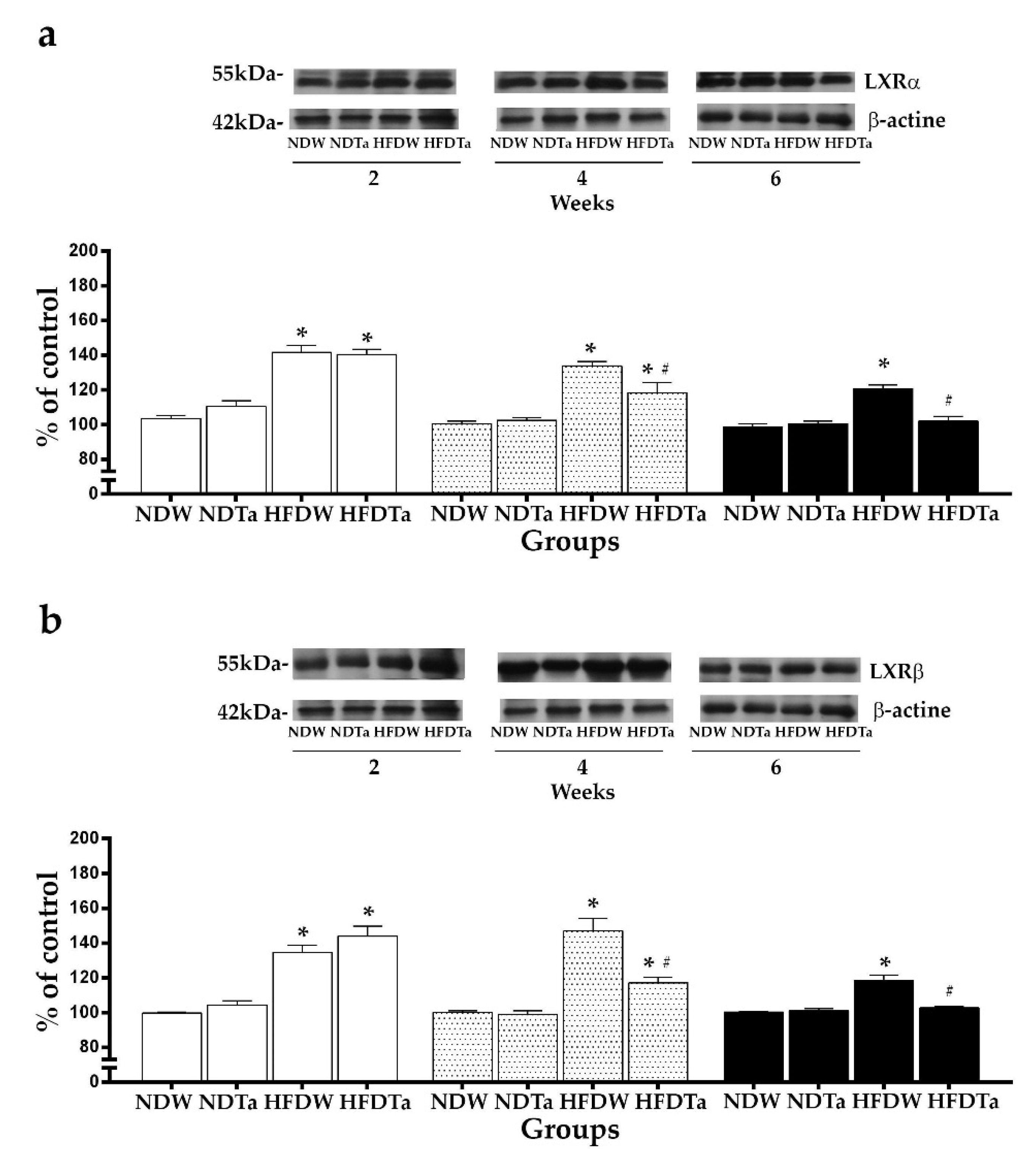 Metabolites 11 00579 g004