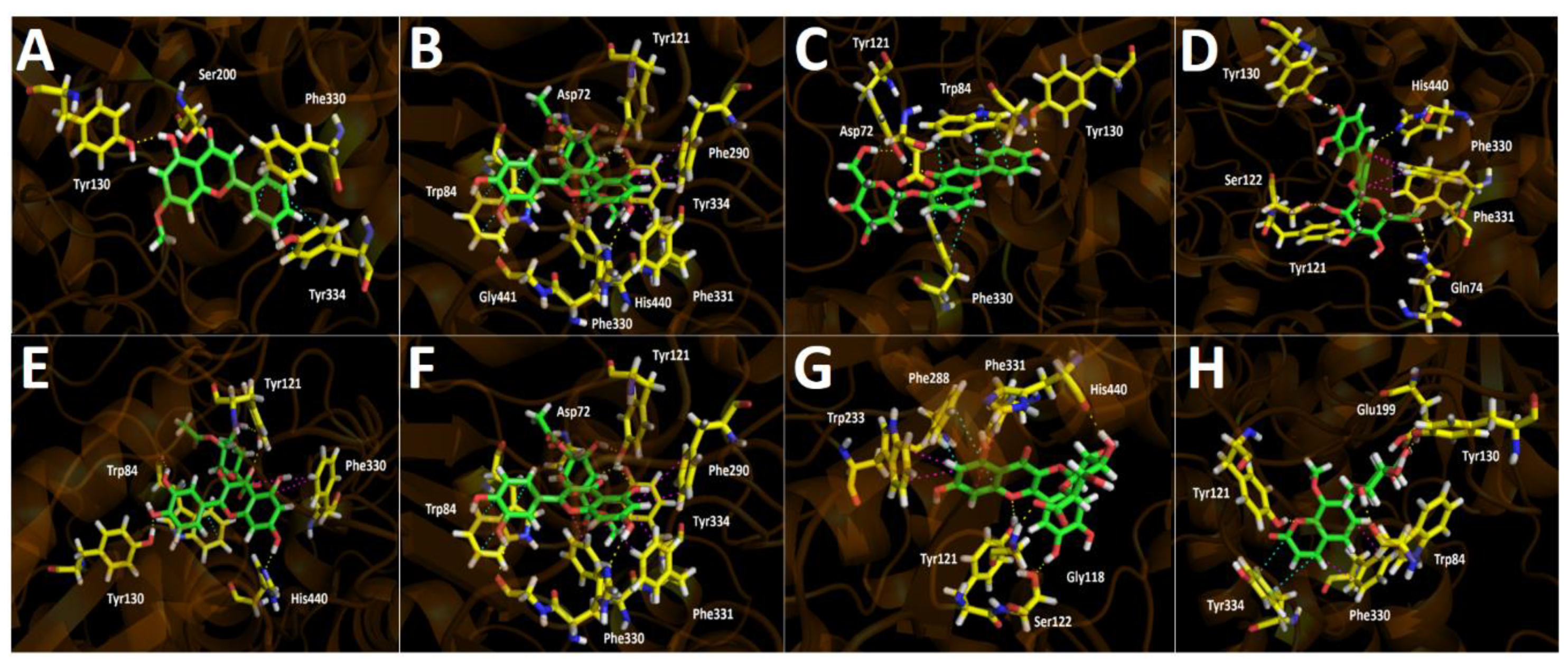 Metabolites 12 00090 g005