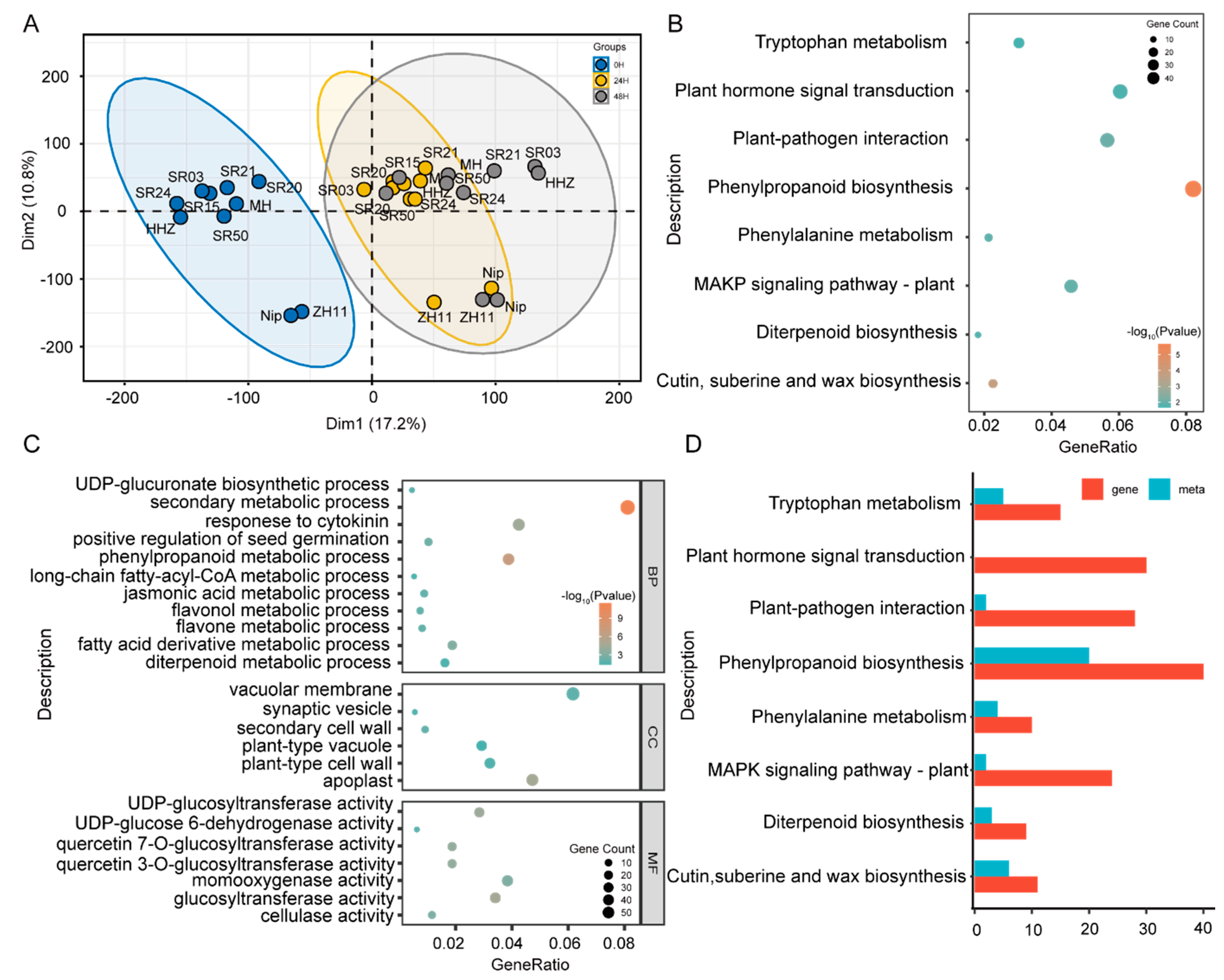 Metabolites 12 00384 g003
