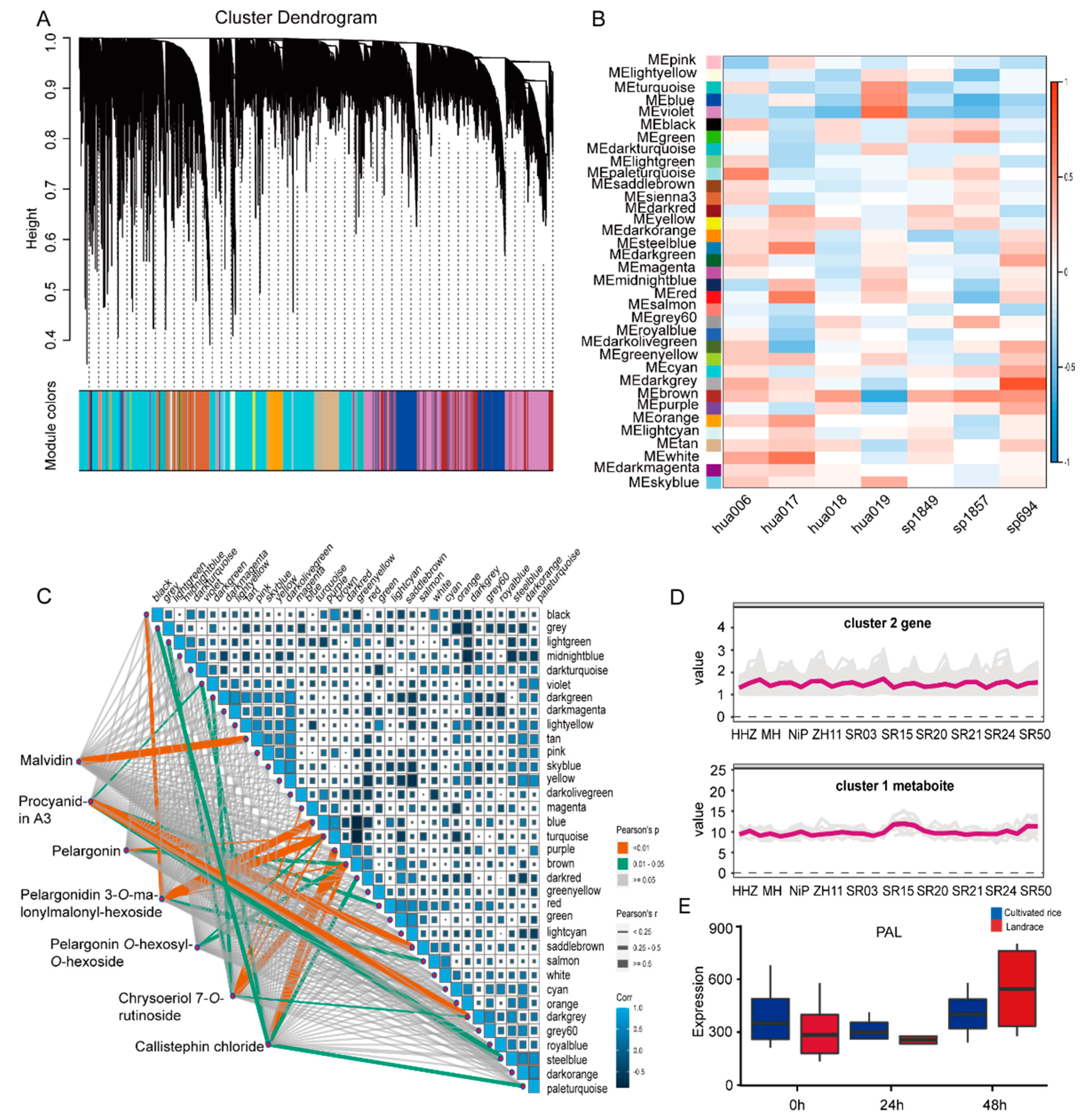 Metabolites 12 00384 g004