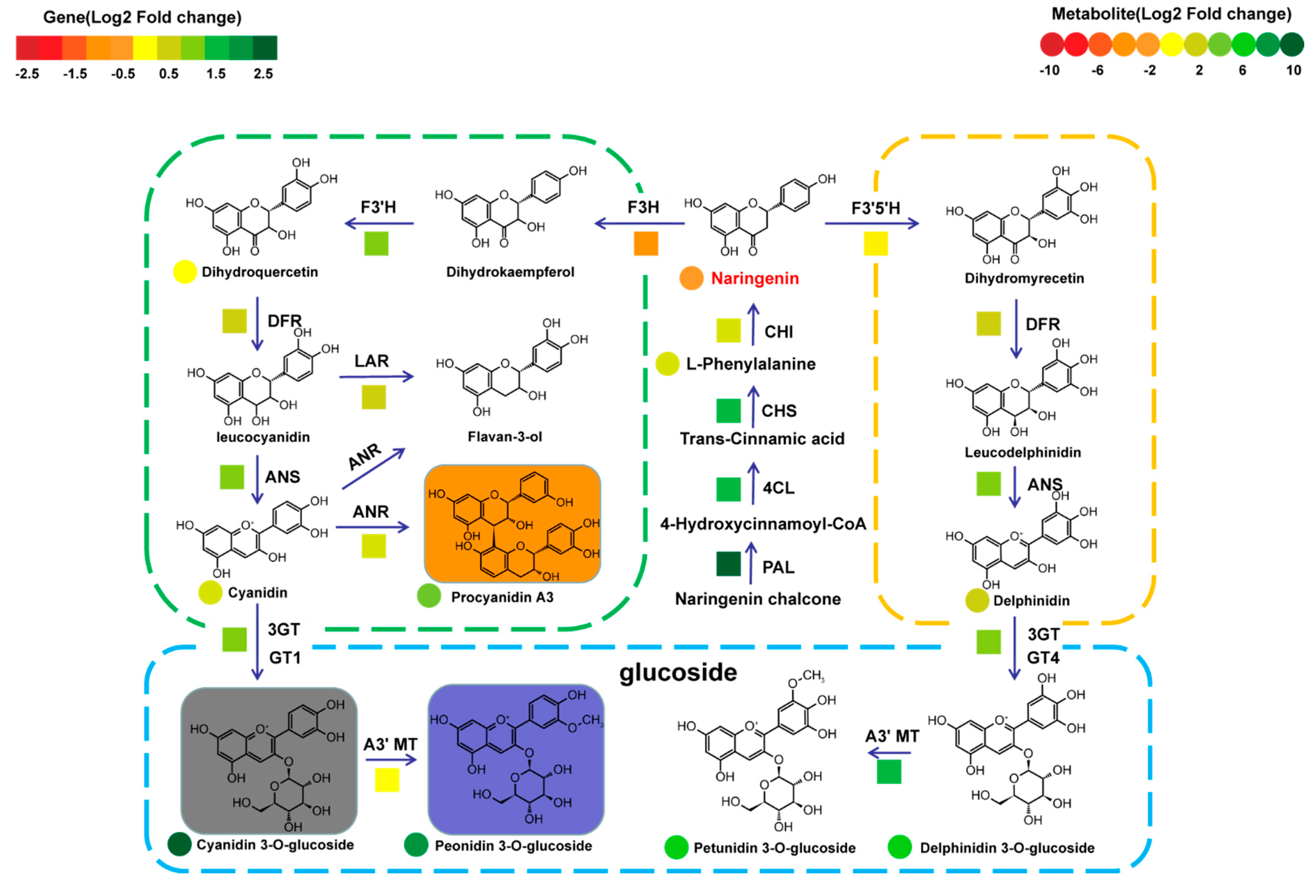 Metabolites 12 00384 g006