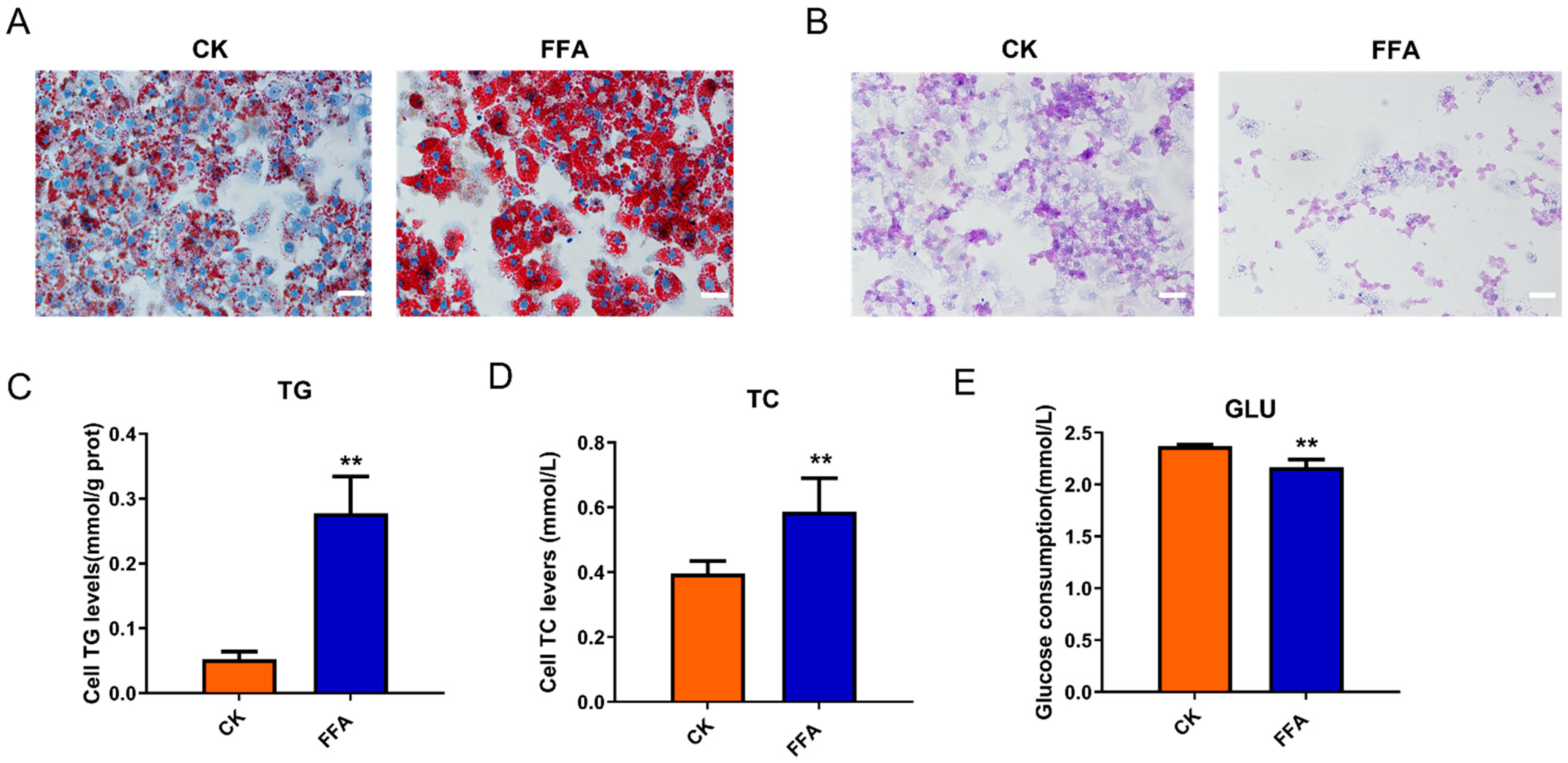 Metabolites 12 00825 g001