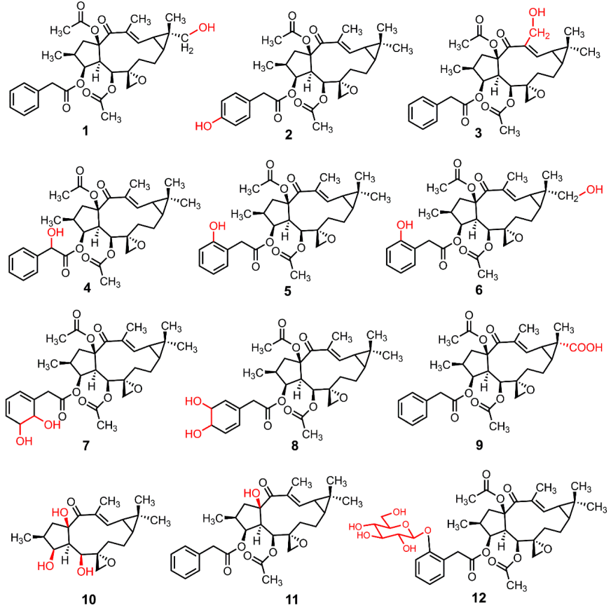 Metabolites 12 00830 g005