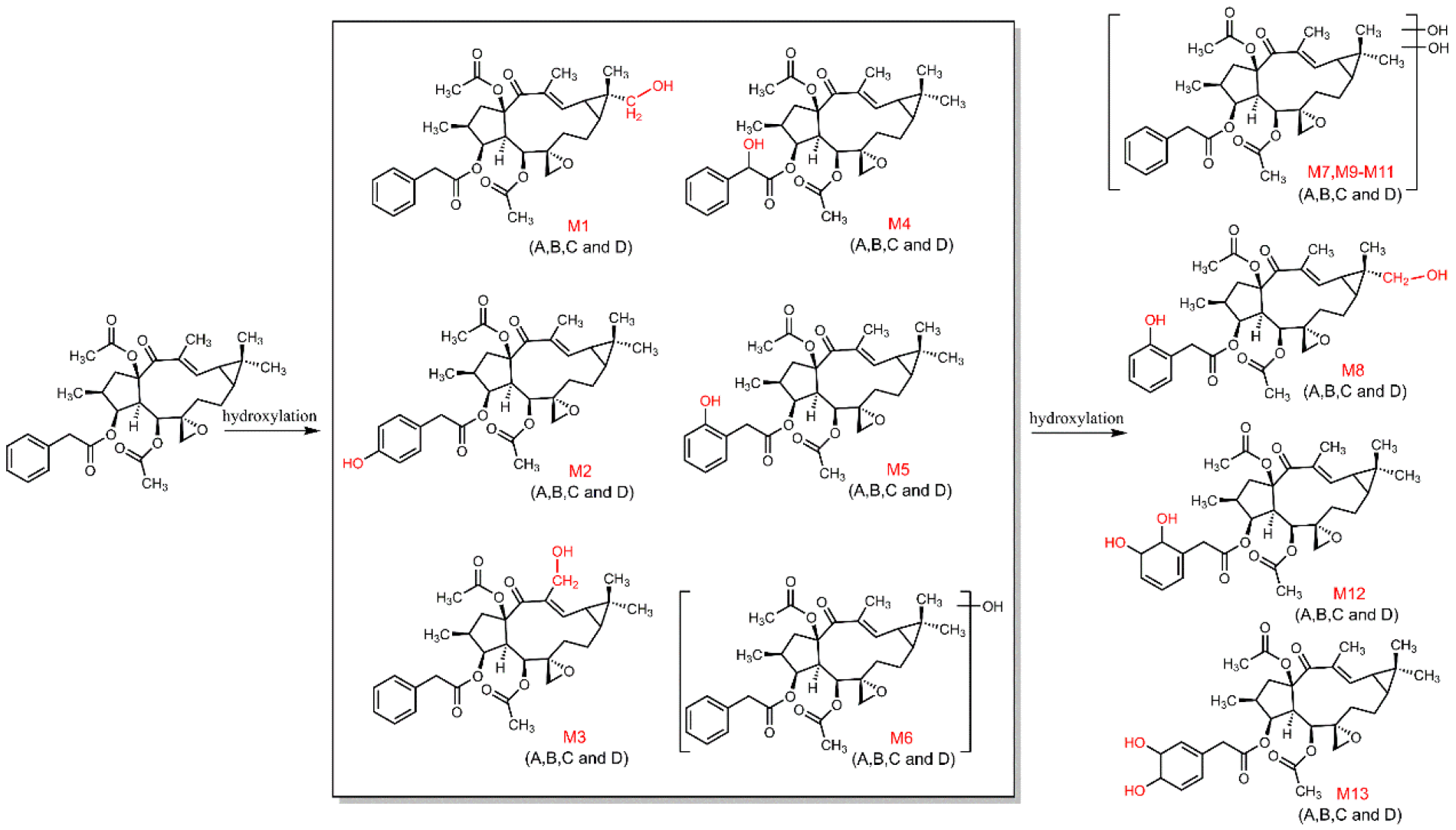 Metabolites 12 00830 g009