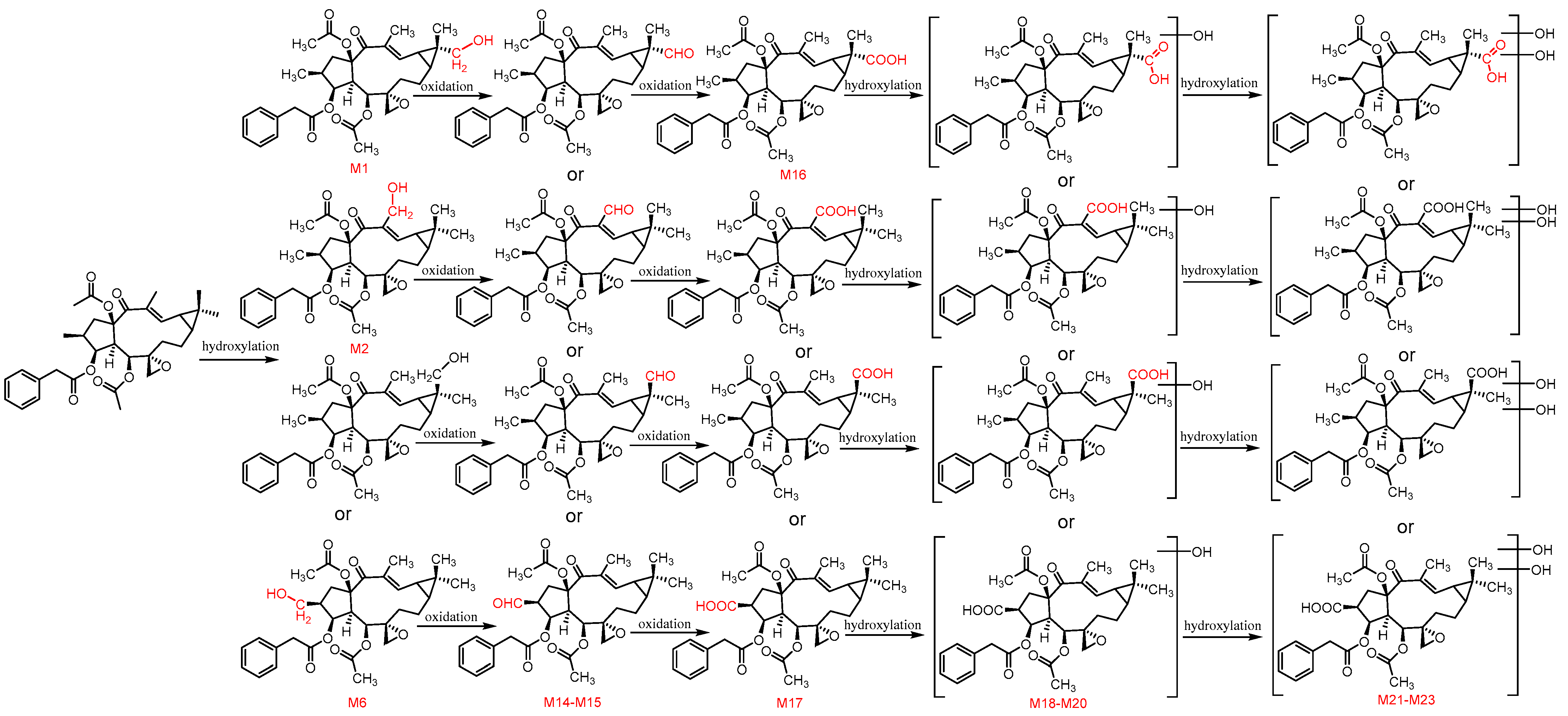 Metabolites 12 00830 g010