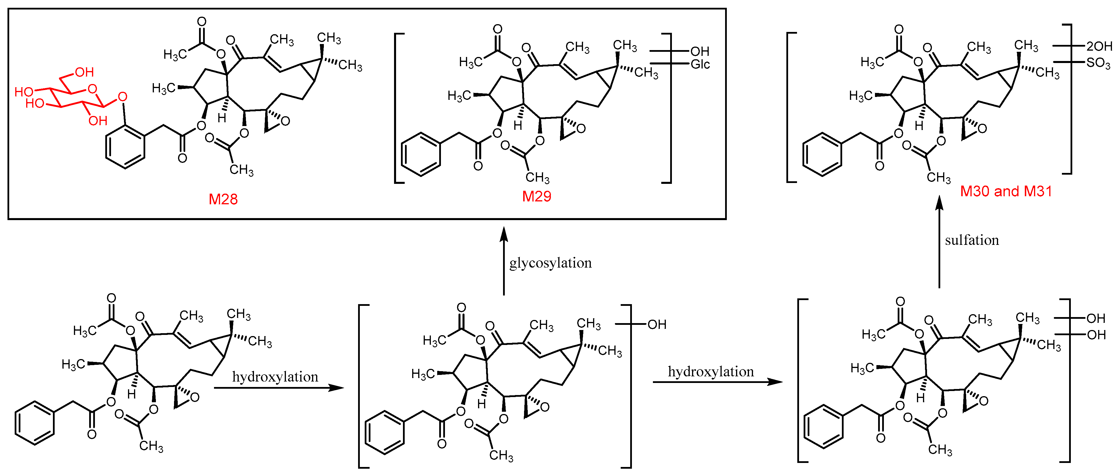 Metabolites 12 00830 g012
