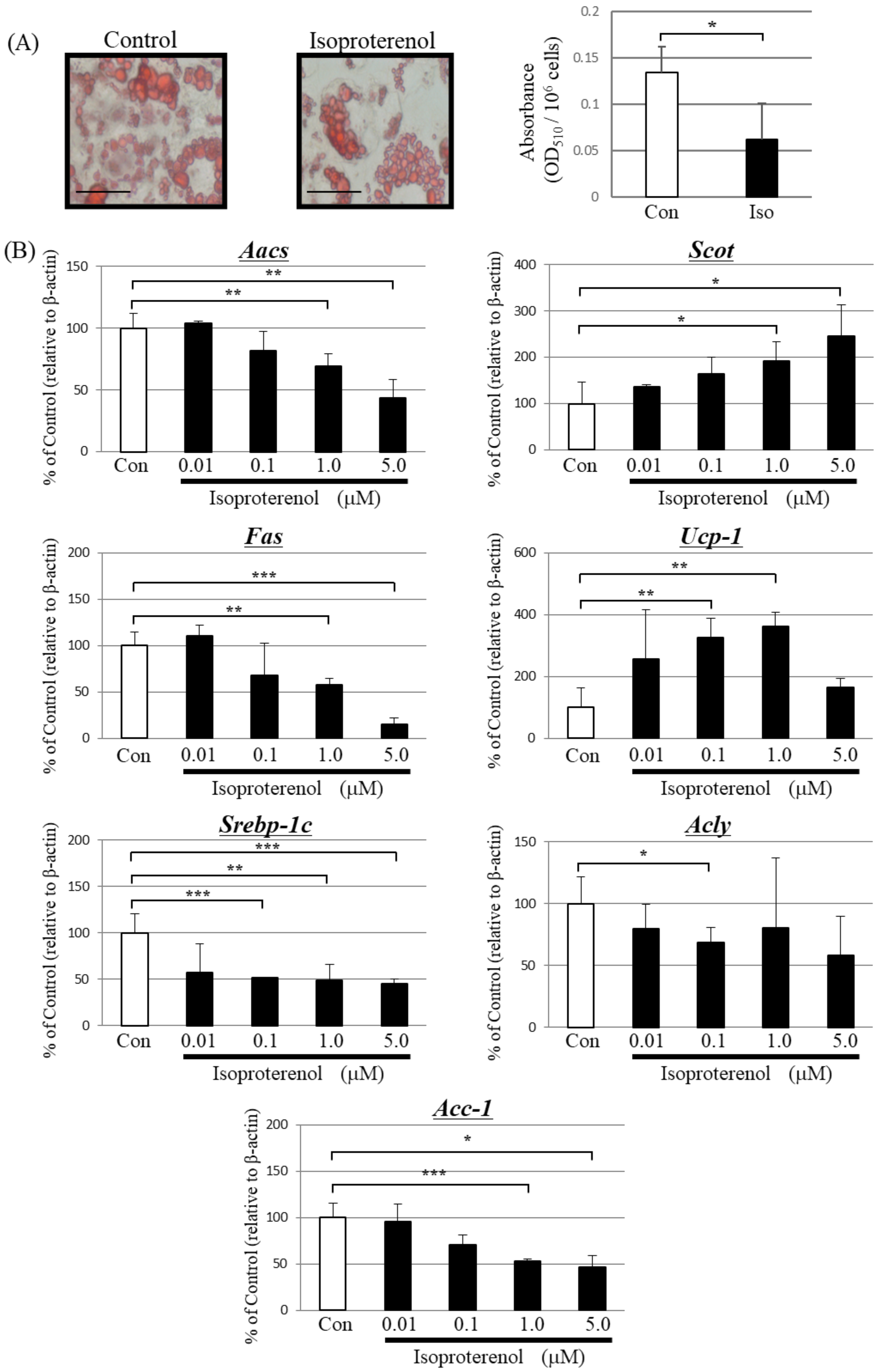 Metabolites 13 00519 g002