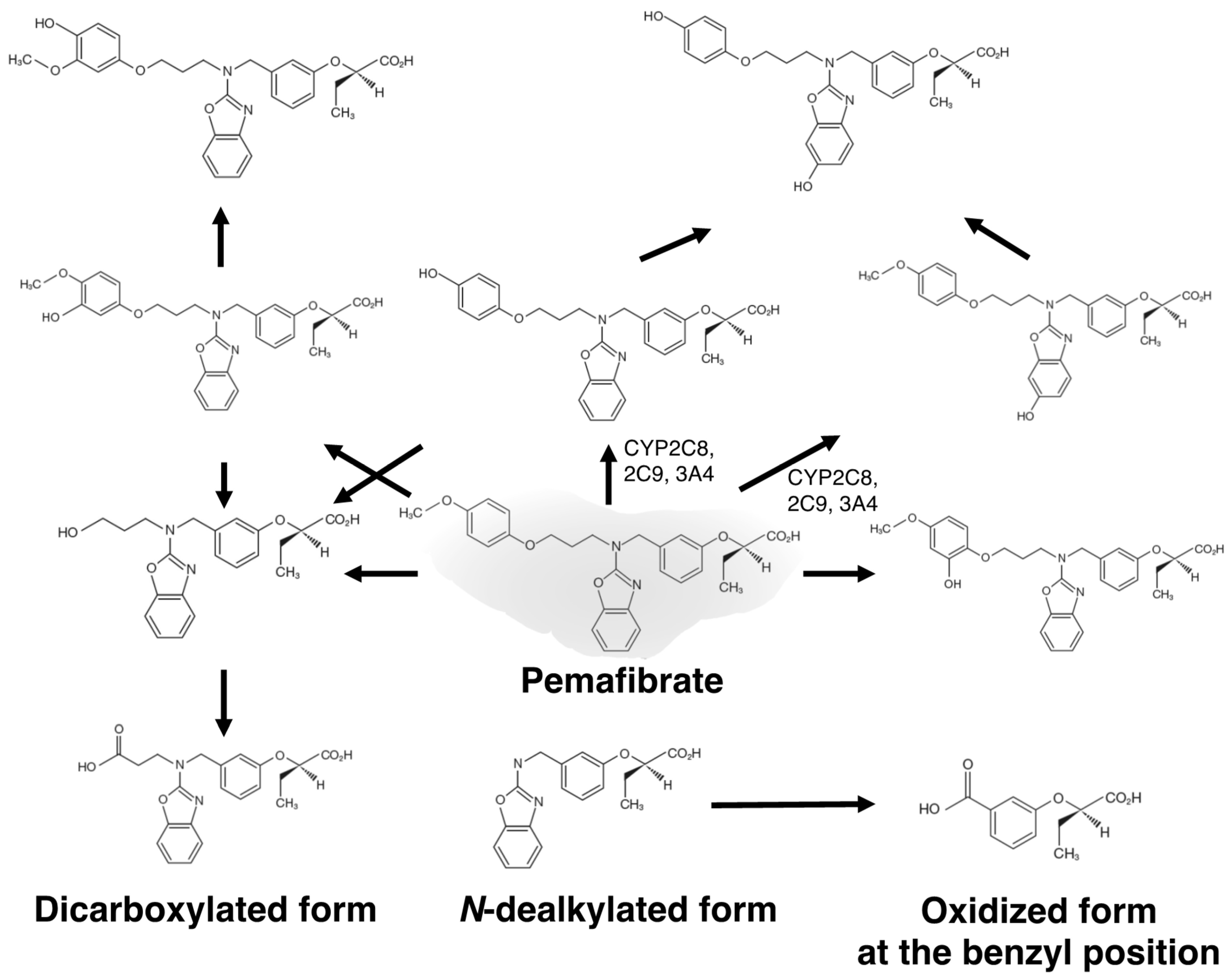 Metabolites 13 00626 g001