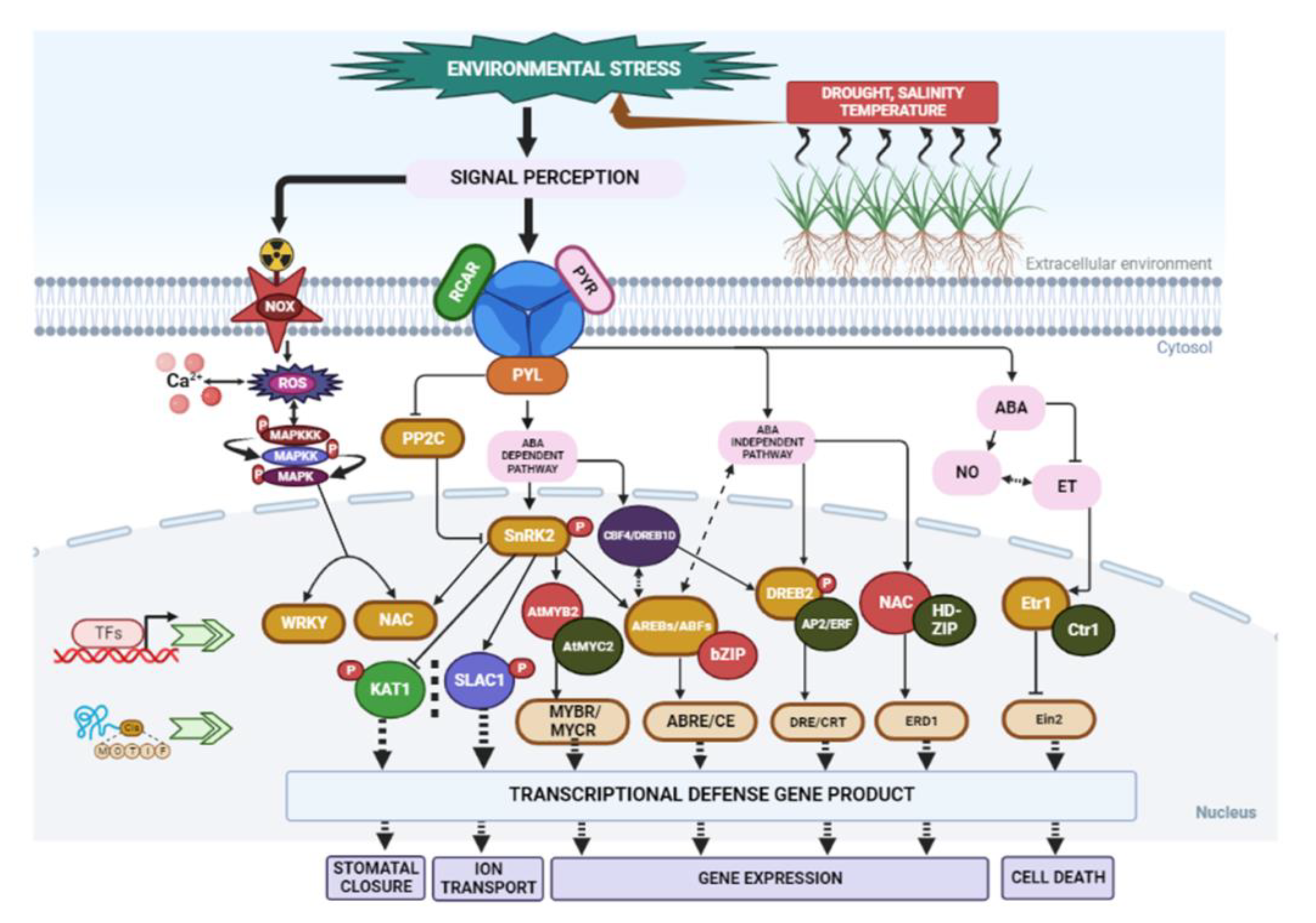 Metabolites 13 00895 g003
