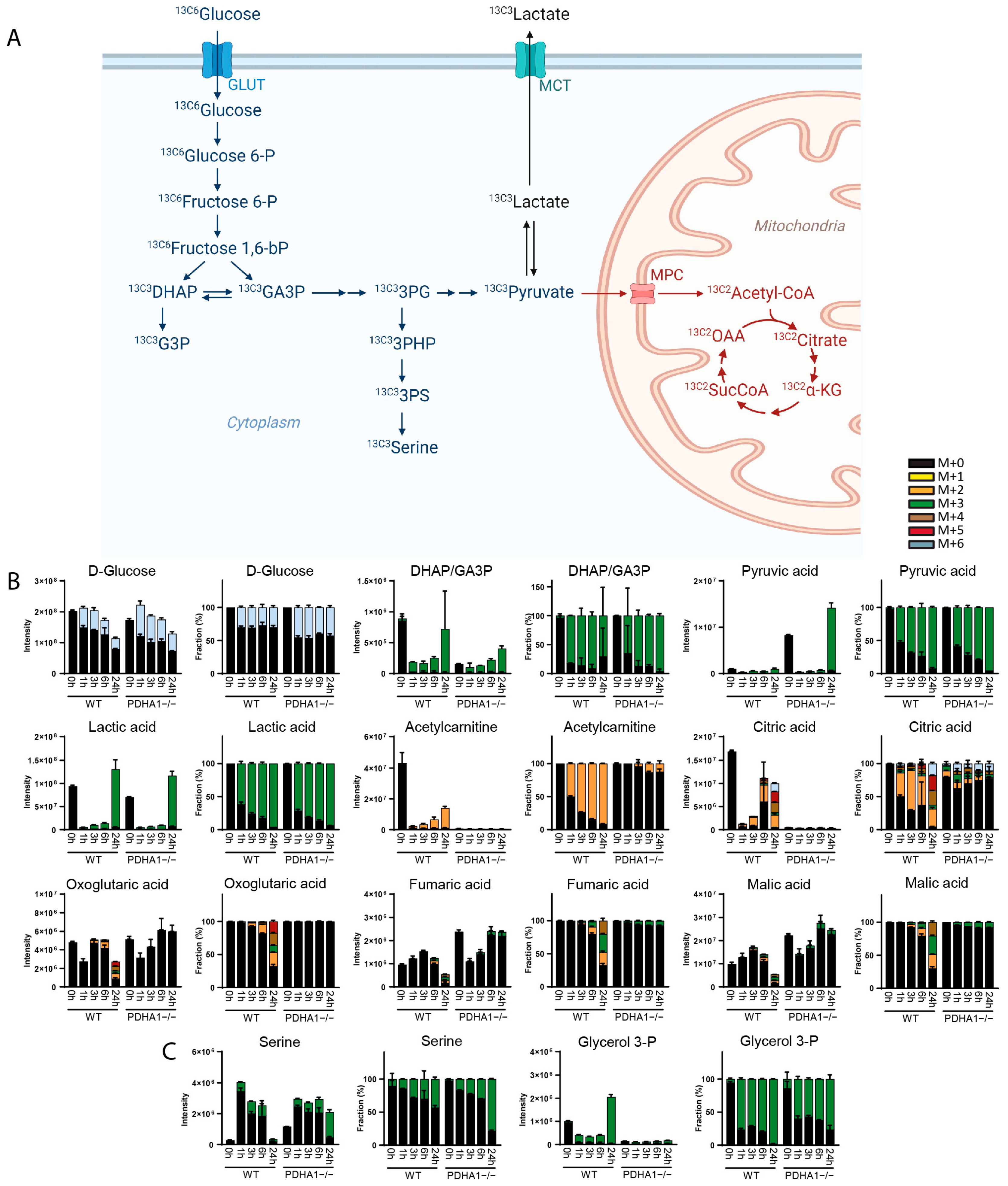 Metabolites 14 00246 g002