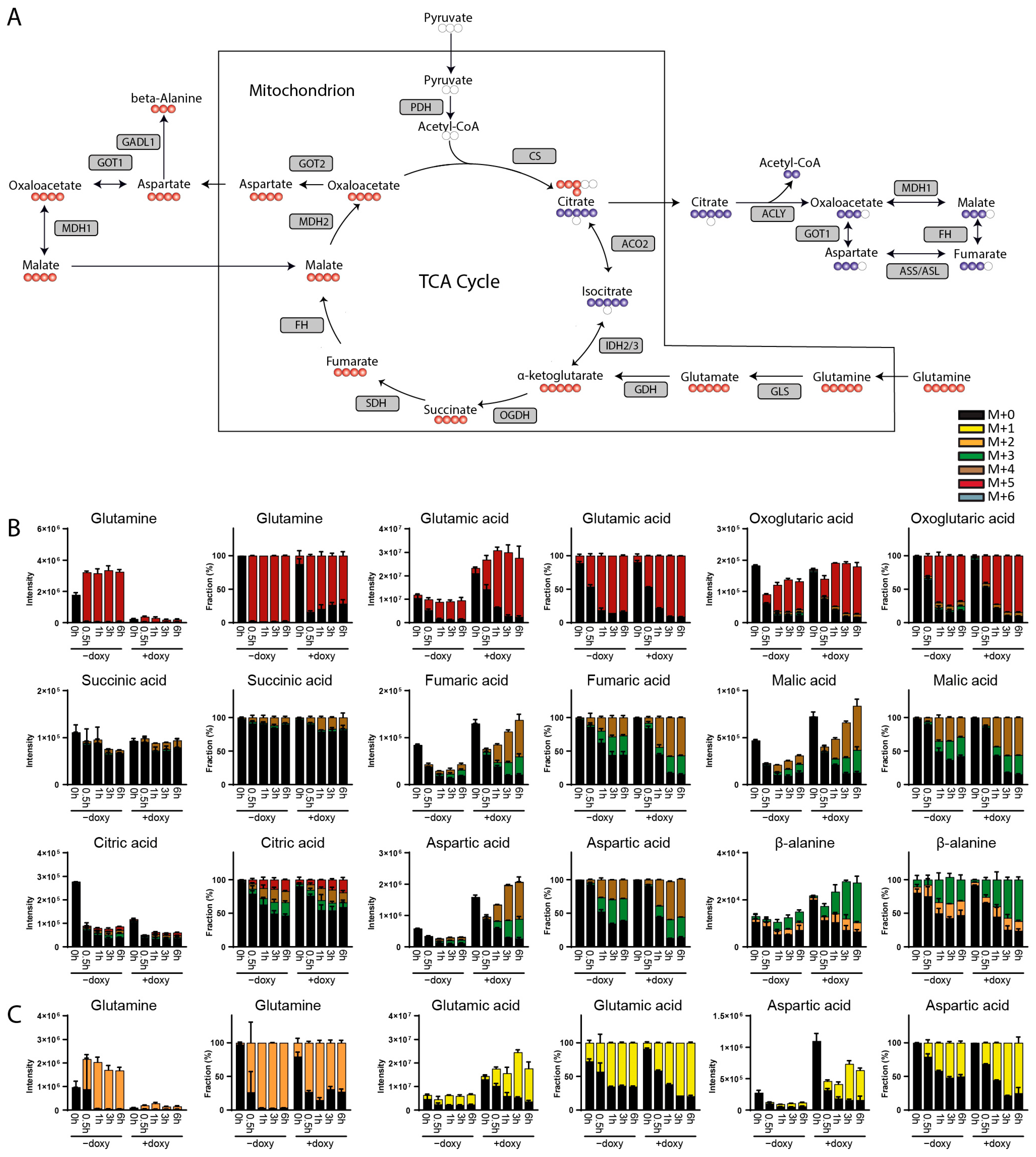 Metabolites 14 00246 g003